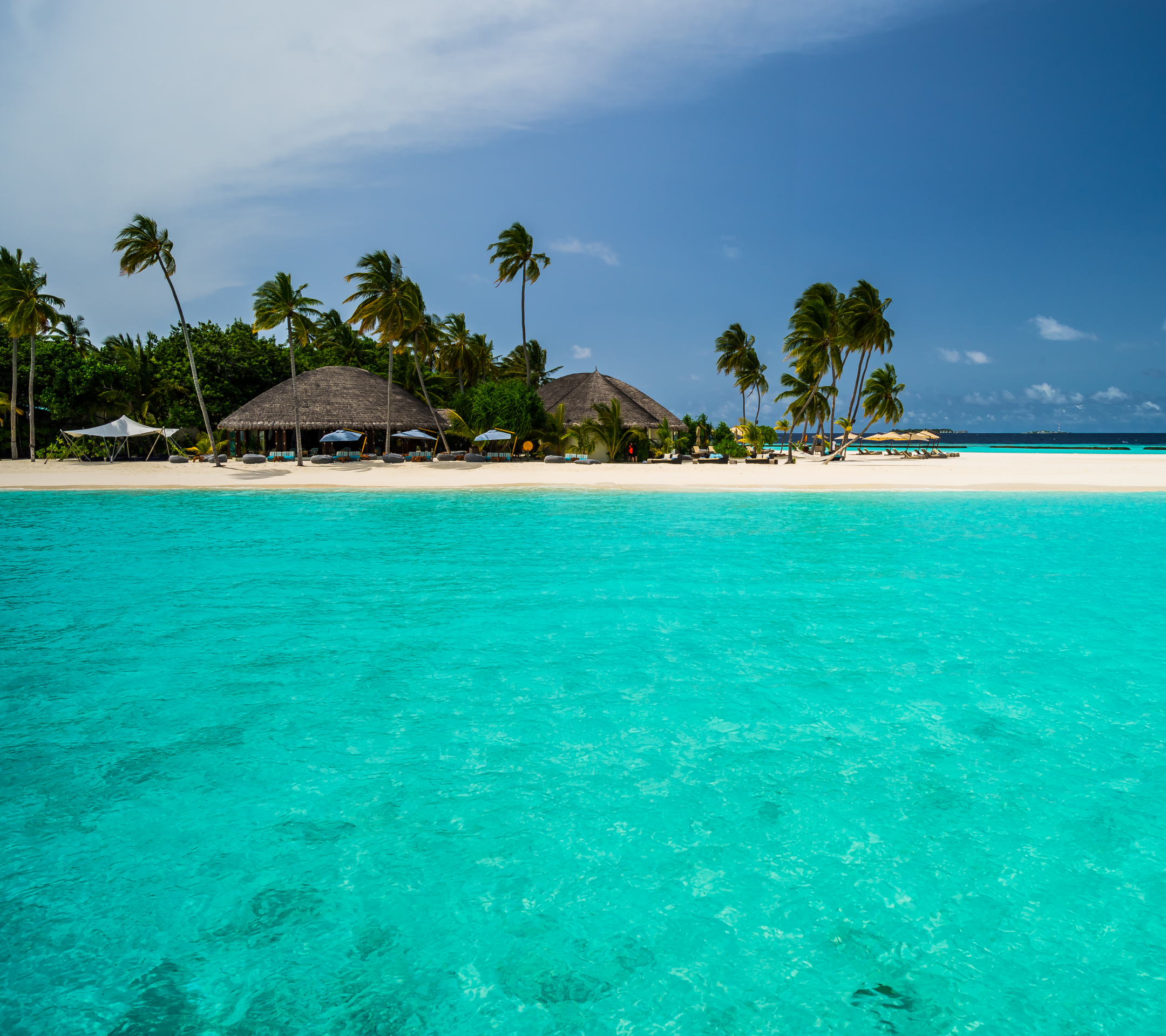 Descarga gratuita de fondo de pantalla para móvil de Playa, Día Festivo, Zona Tropical, Fotografía, Maldivas, Fiesta, Palmera, Tropico, Constanza Halaveli Resort.