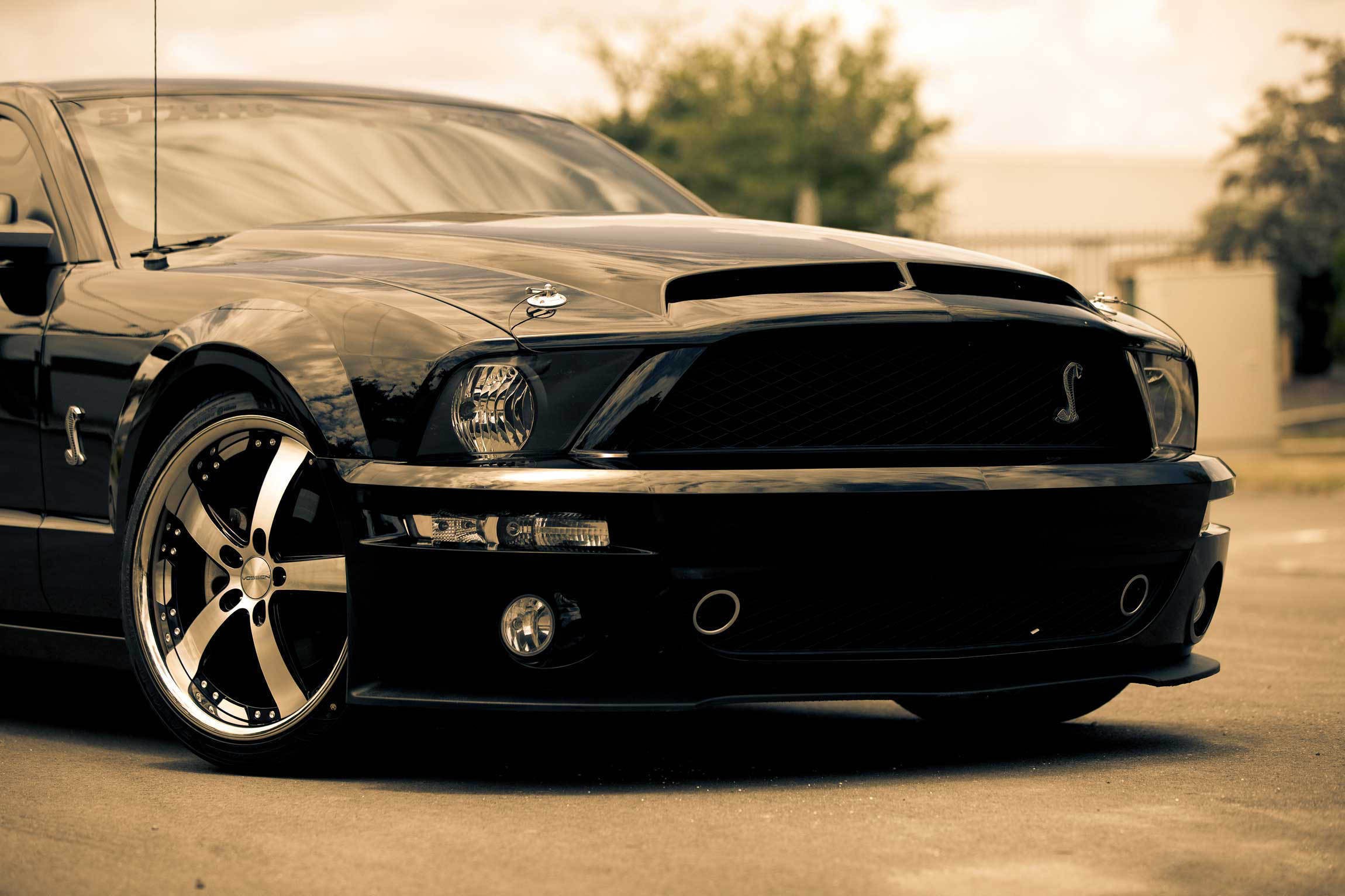 Free download wallpaper Ford Mustang, Vehicles on your PC desktop