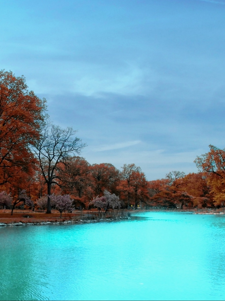 Descarga gratuita de fondo de pantalla para móvil de Agua, Rio, Lago, Árbol, Tierra/naturaleza.