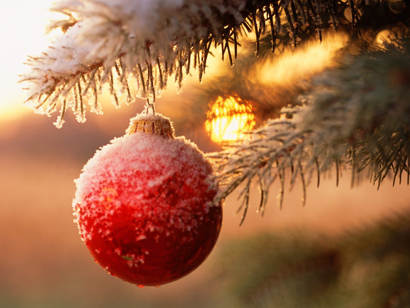 Скачать обои бесплатно Рождество (Christmas Xmas), Праздники, Новый Год (New Year) картинка на рабочий стол ПК