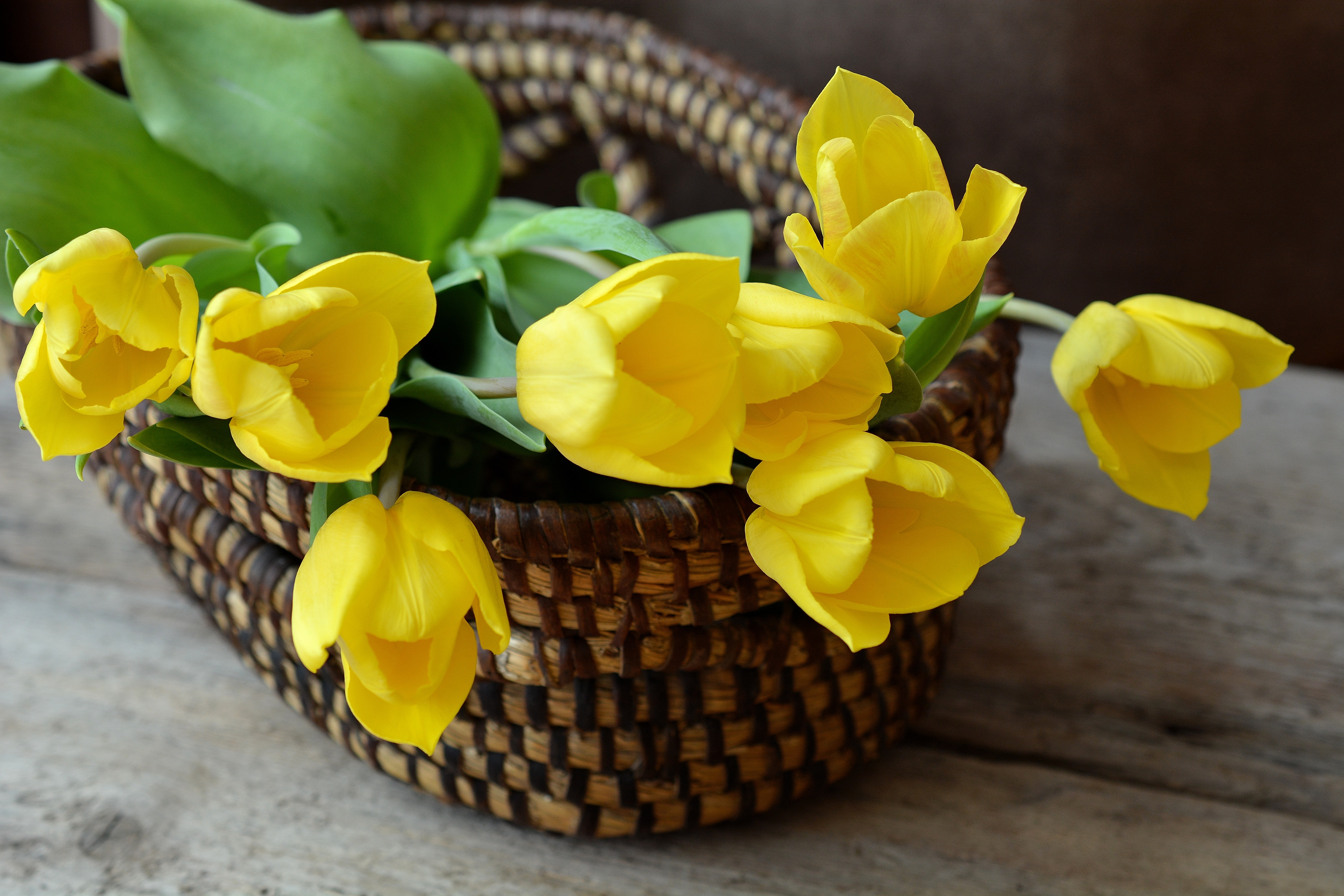 bouquet, tulips, flowers, basket Image for desktop