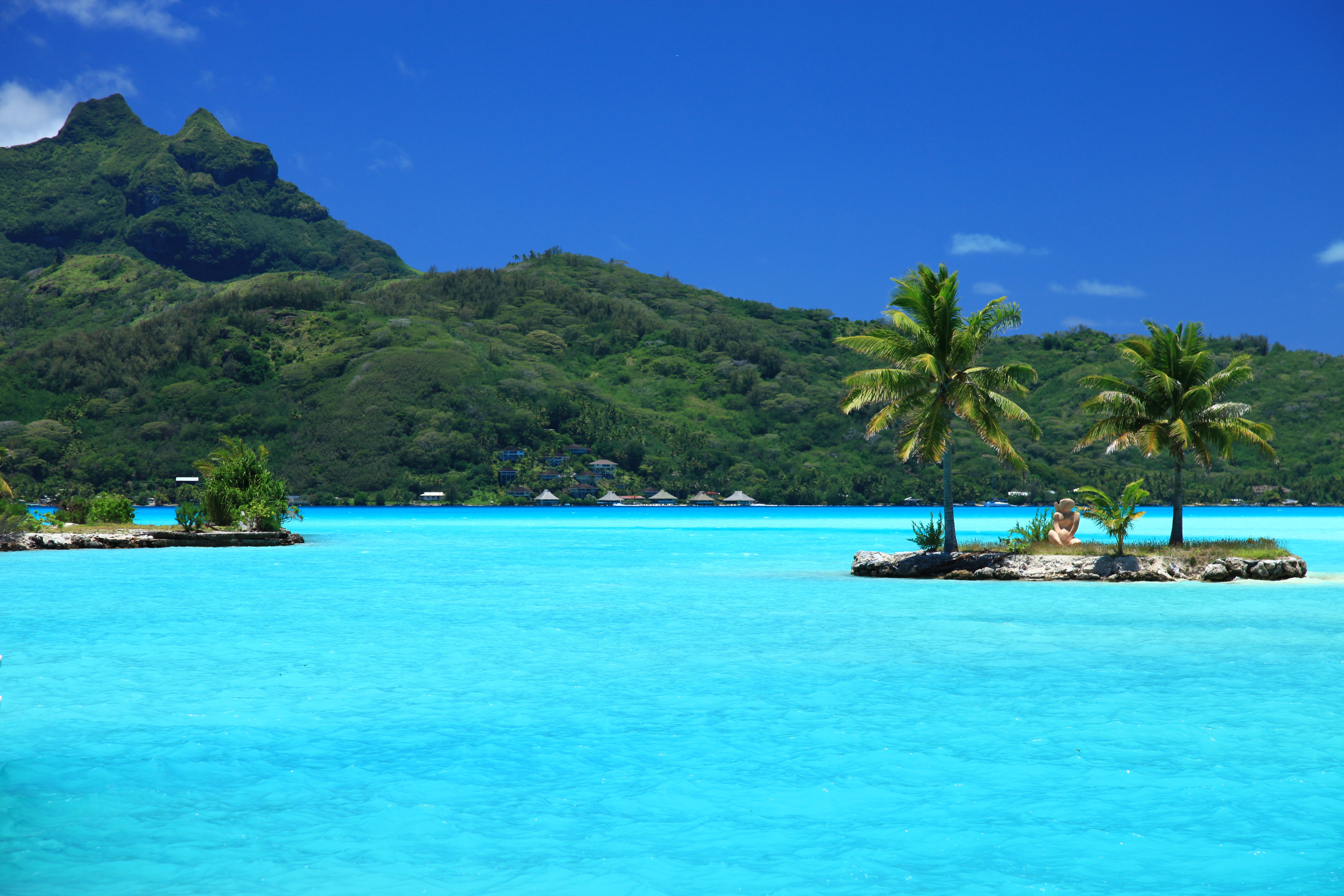 island, nature, palms, tropics Smartphone Background