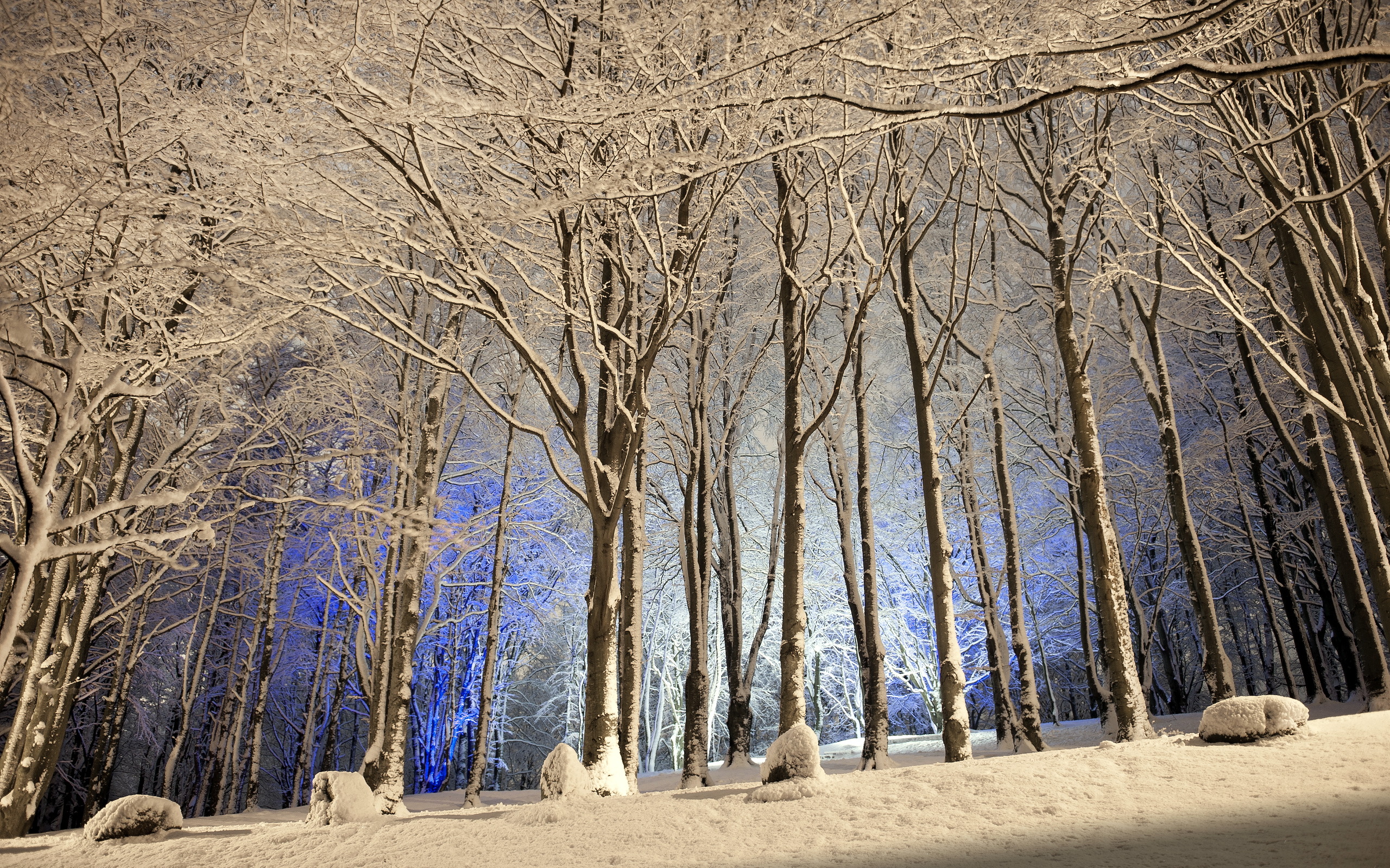 Laden Sie das Winter, Erde/natur-Bild kostenlos auf Ihren PC-Desktop herunter