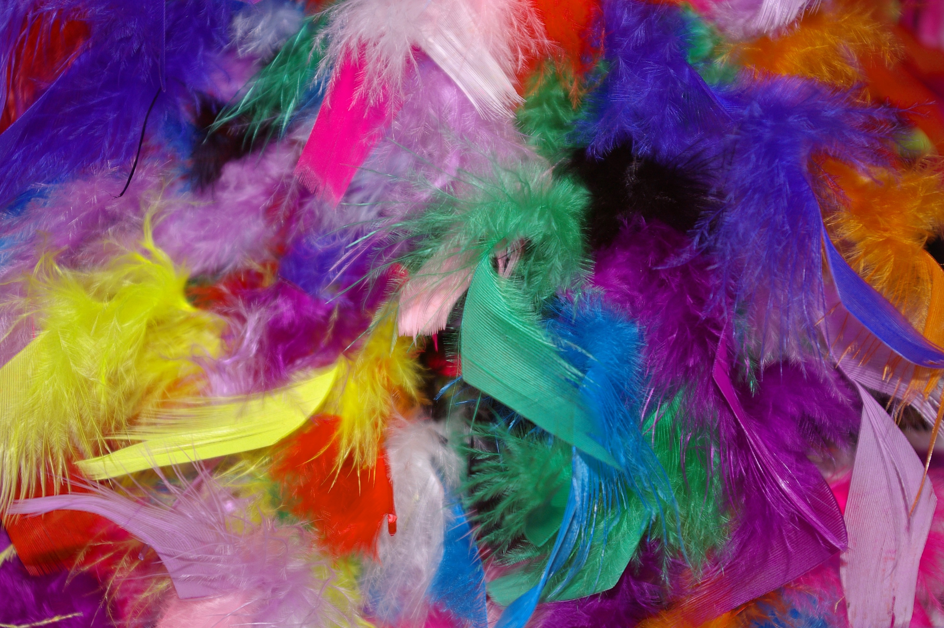 Download mobile wallpaper Background, Miscellaneous, Miscellanea, Motley, Feather, Multicolored for free.