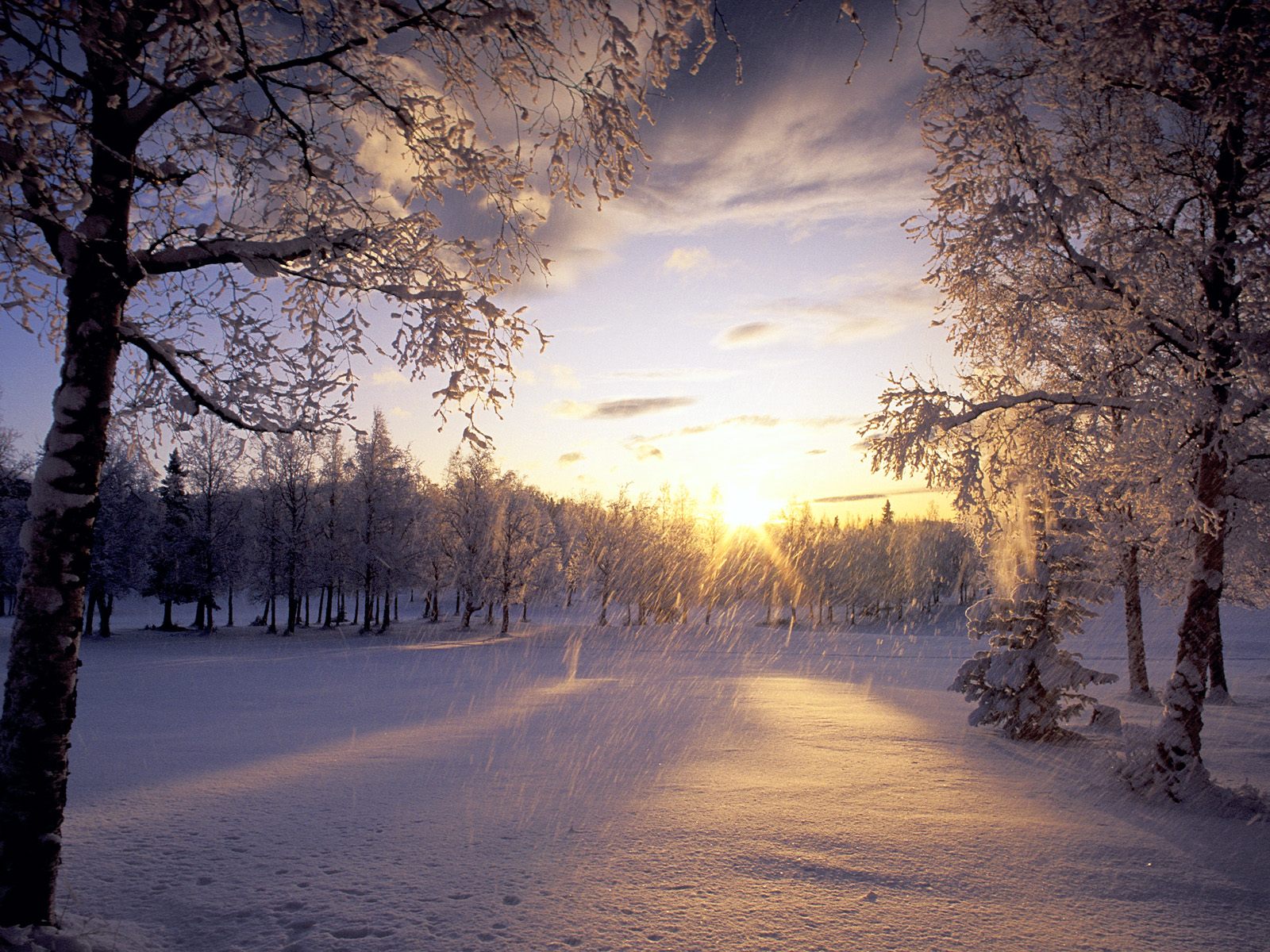 Скачать обои бесплатно Зима, Закат, Земля/природа картинка на рабочий стол ПК