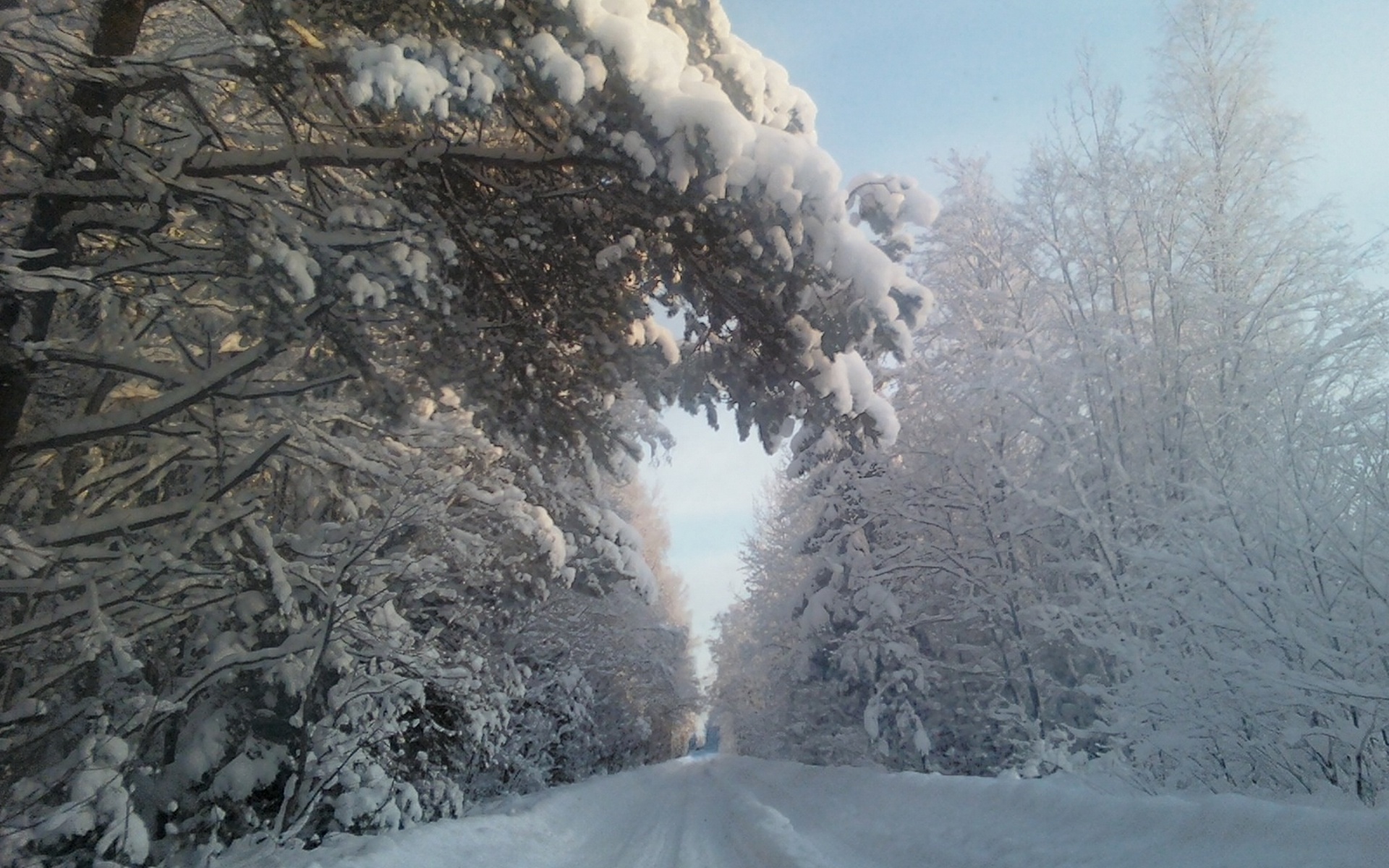 Handy-Wallpaper Winter, Erde/natur kostenlos herunterladen.