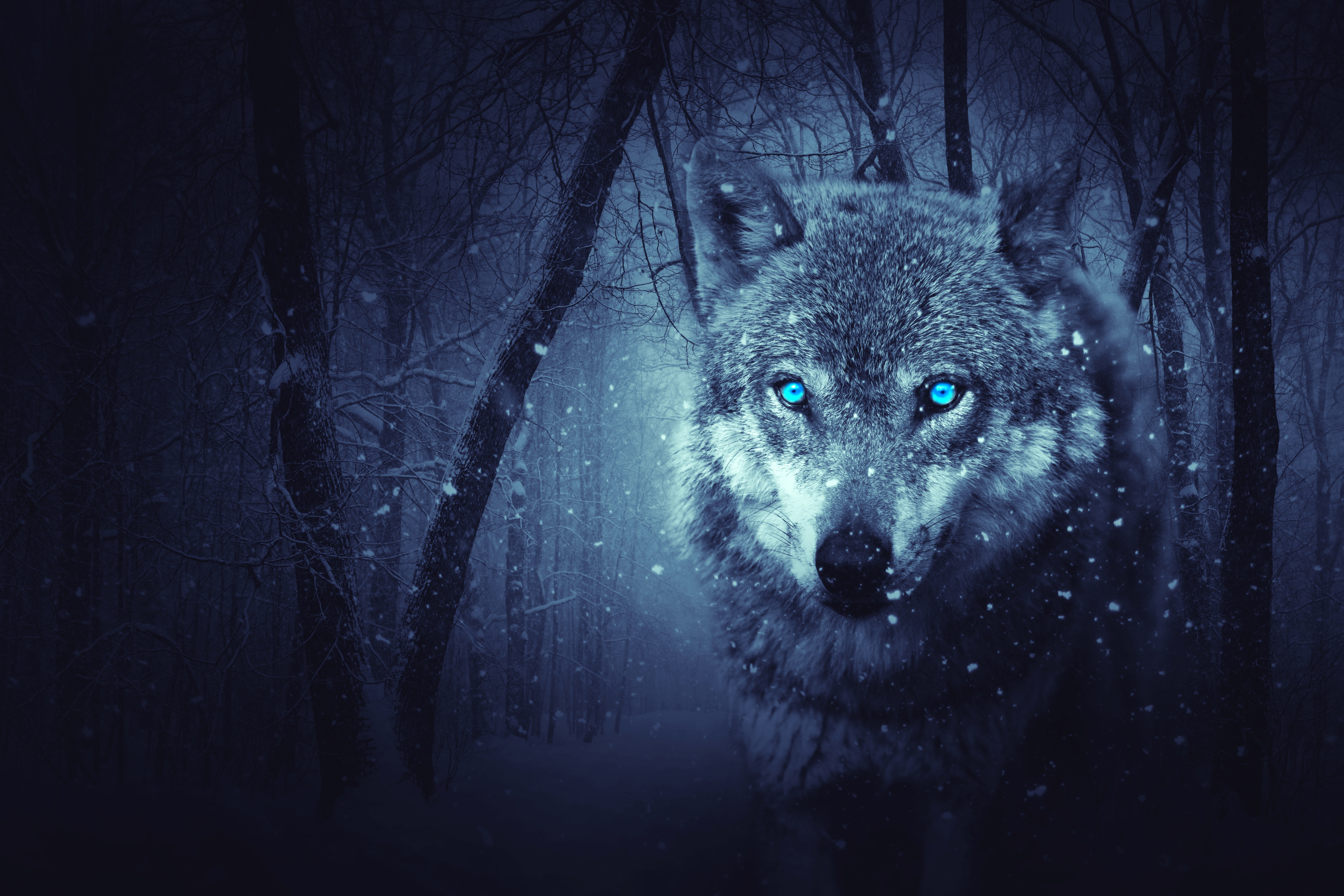 411339 скачать картинку волк, фэнтези, фэнтези животные, лес, голубые глаза, снегопад - обои и заставки бесплатно