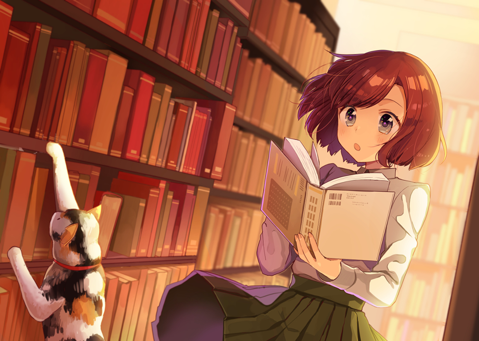 Free download wallpaper Anime, Cat, Girl, Book, Library, Brown Hair, Short Hair on your PC desktop