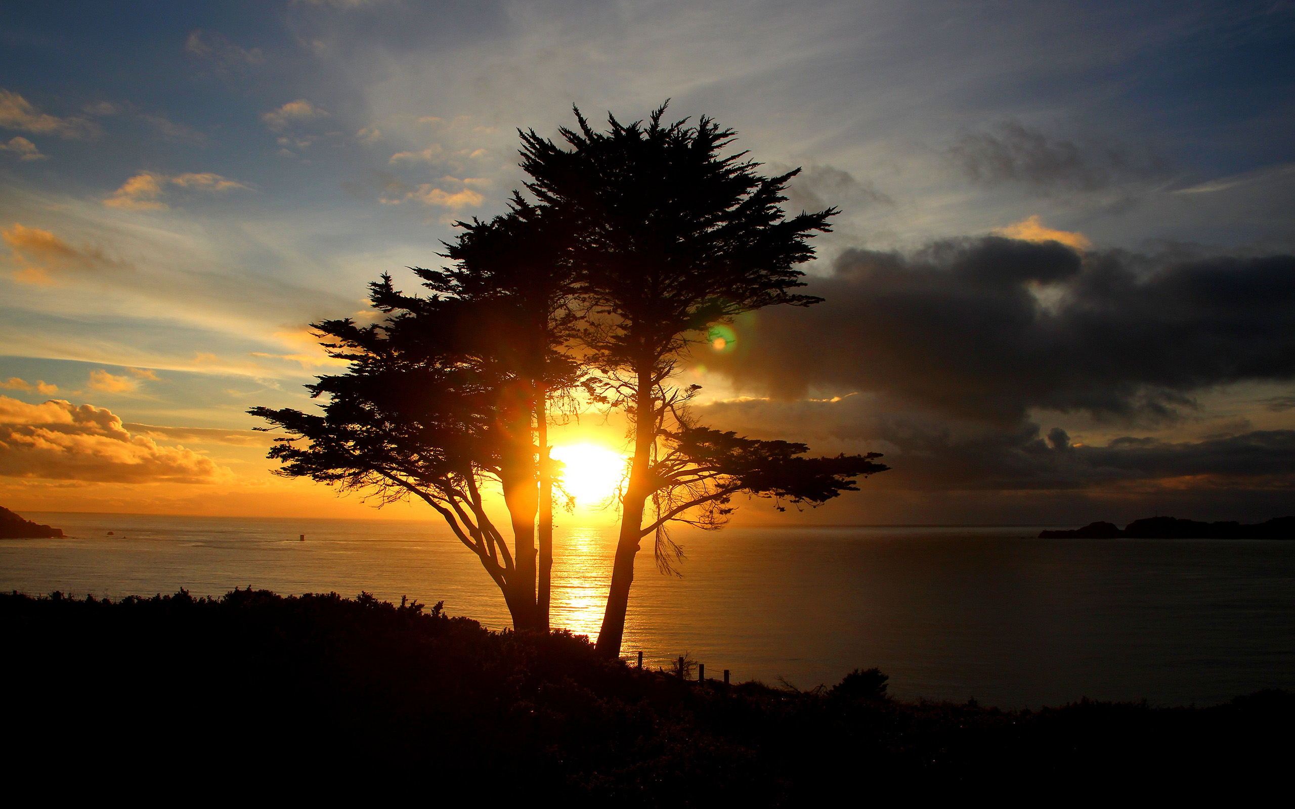 Laden Sie das Natur, Horizont, See, Baum, Schatten, Sonnenuntergang, Erde/natur-Bild kostenlos auf Ihren PC-Desktop herunter