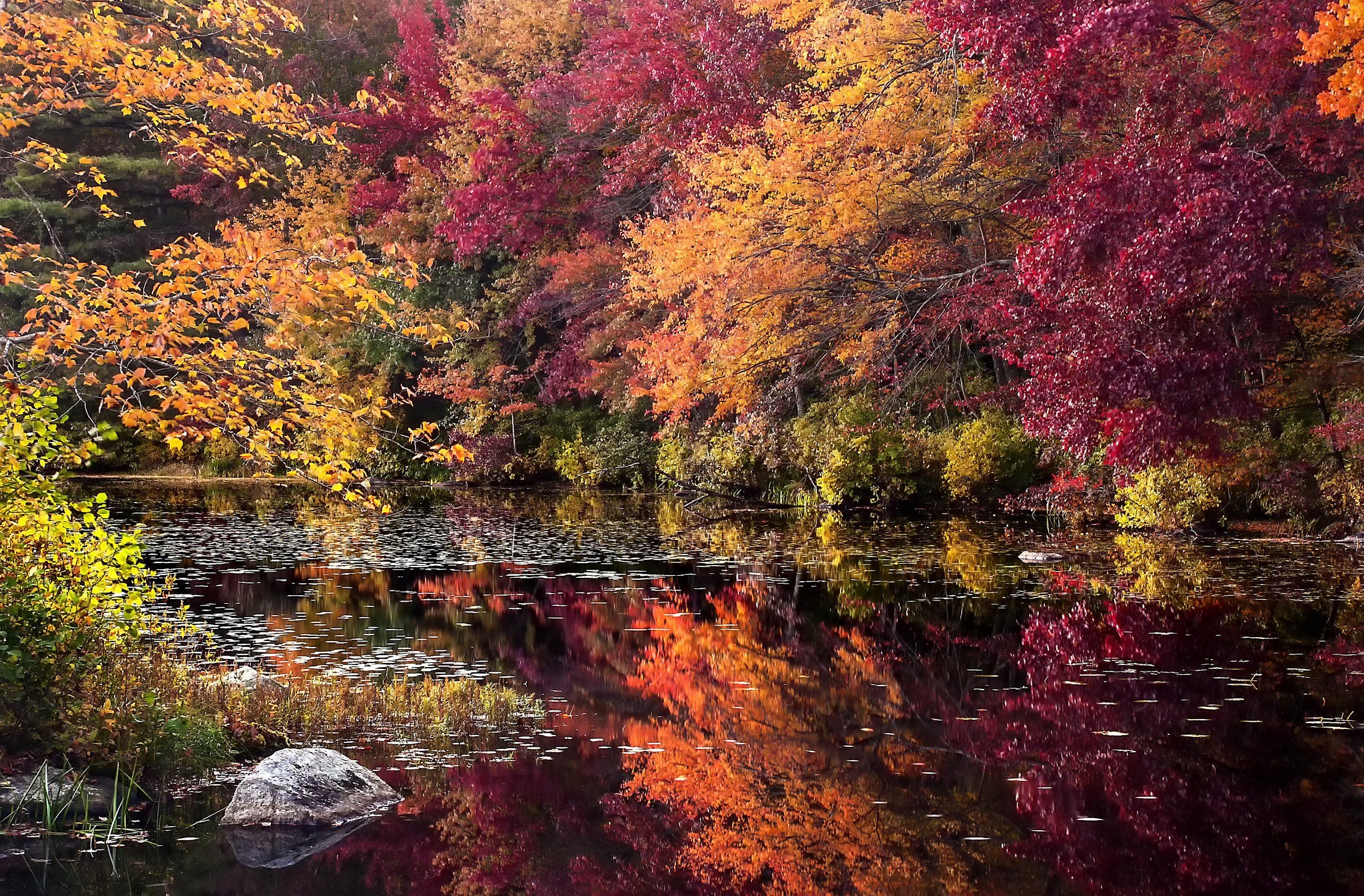 Handy-Wallpaper Herbst, Baum, Fluss, Erde/natur, Spiegelung kostenlos herunterladen.