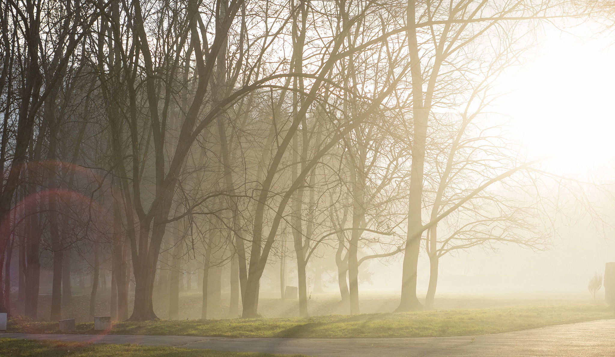 Handy-Wallpaper Natur, Park, Baum, Nebel, Fotografie, Sonnenstrahl kostenlos herunterladen.