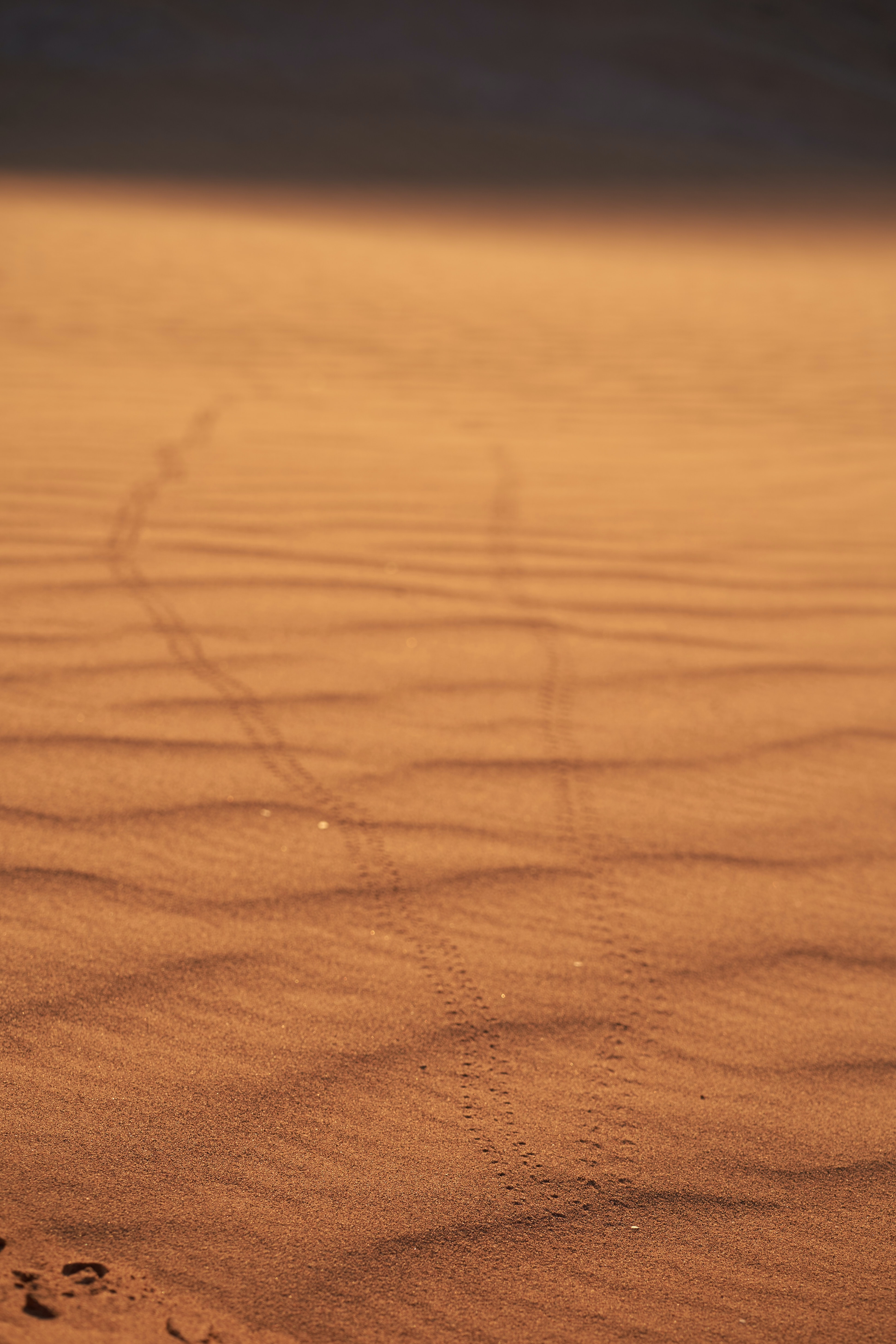 104302 скачать картинку природа, песок, пустыня, размытость, следы - обои и заставки бесплатно