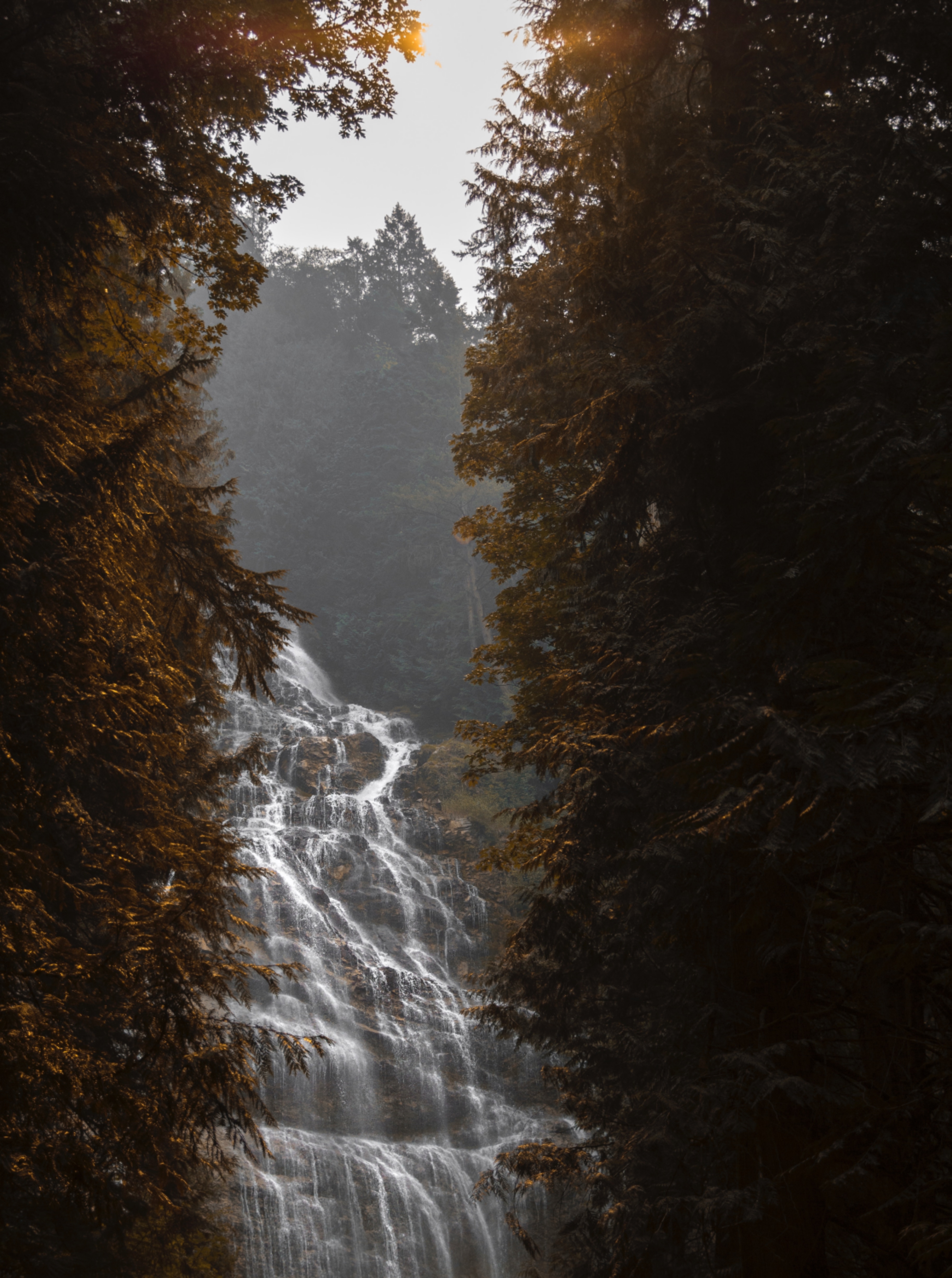 Download mobile wallpaper Trees, Branches, Fog, Nature, Waterfall, Flow for free.