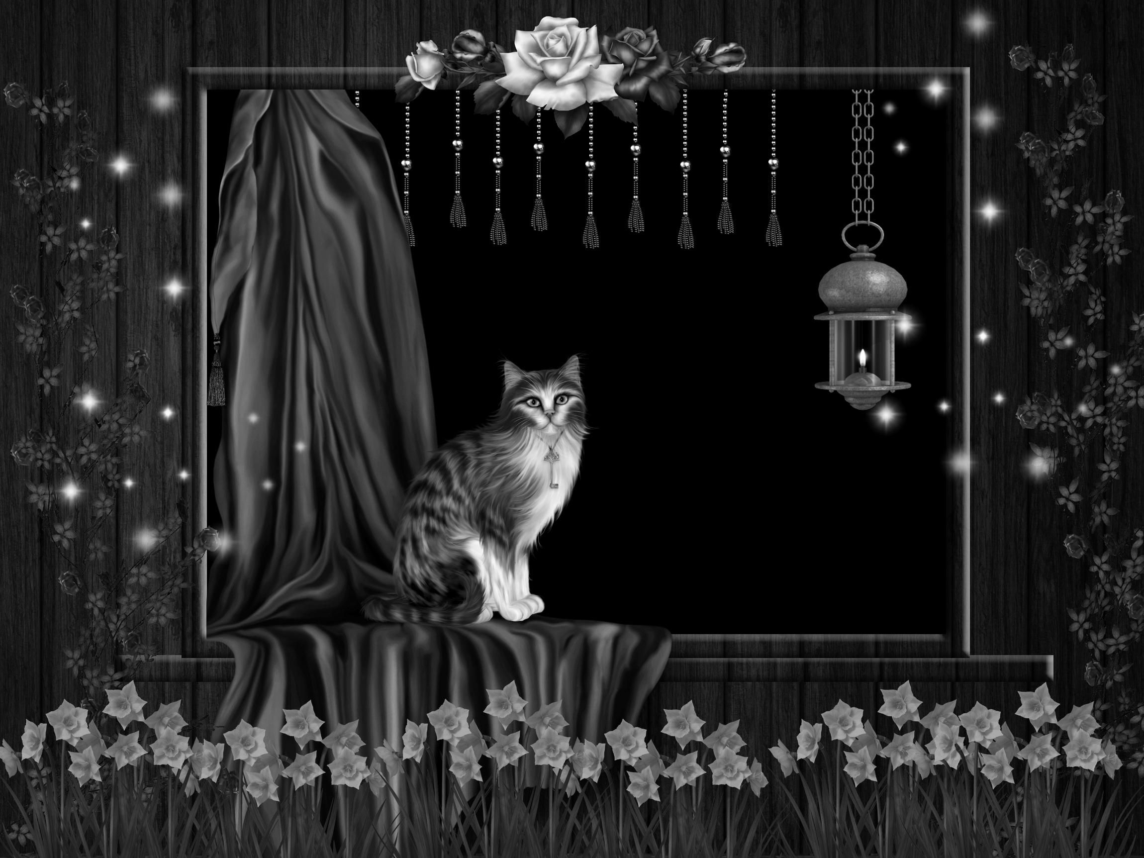 Download mobile wallpaper Fantasy, Cat, Fantasy Animals for free.
