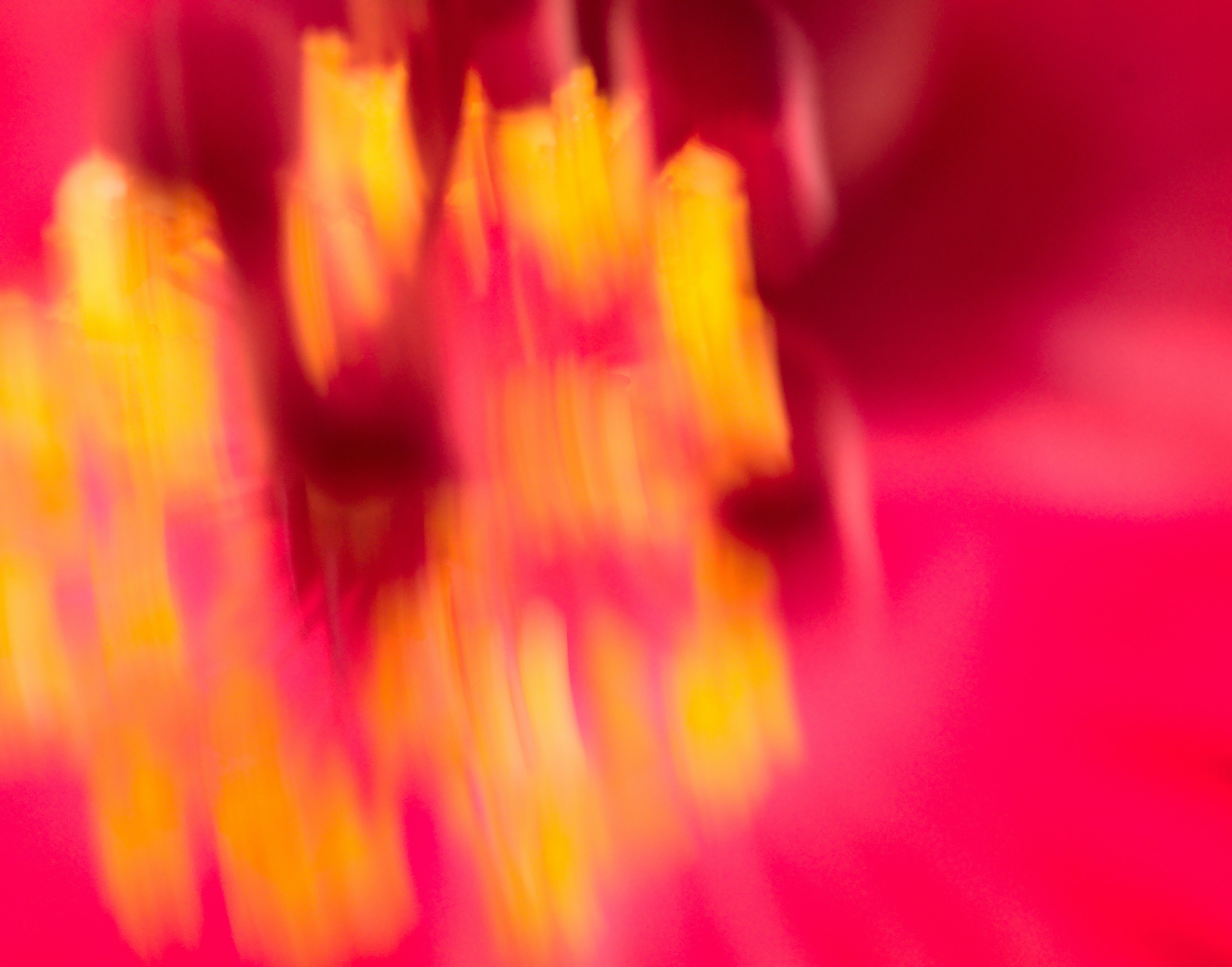 Download mobile wallpaper Distortion, Smooth, Pink, Abstract, Blur for free.