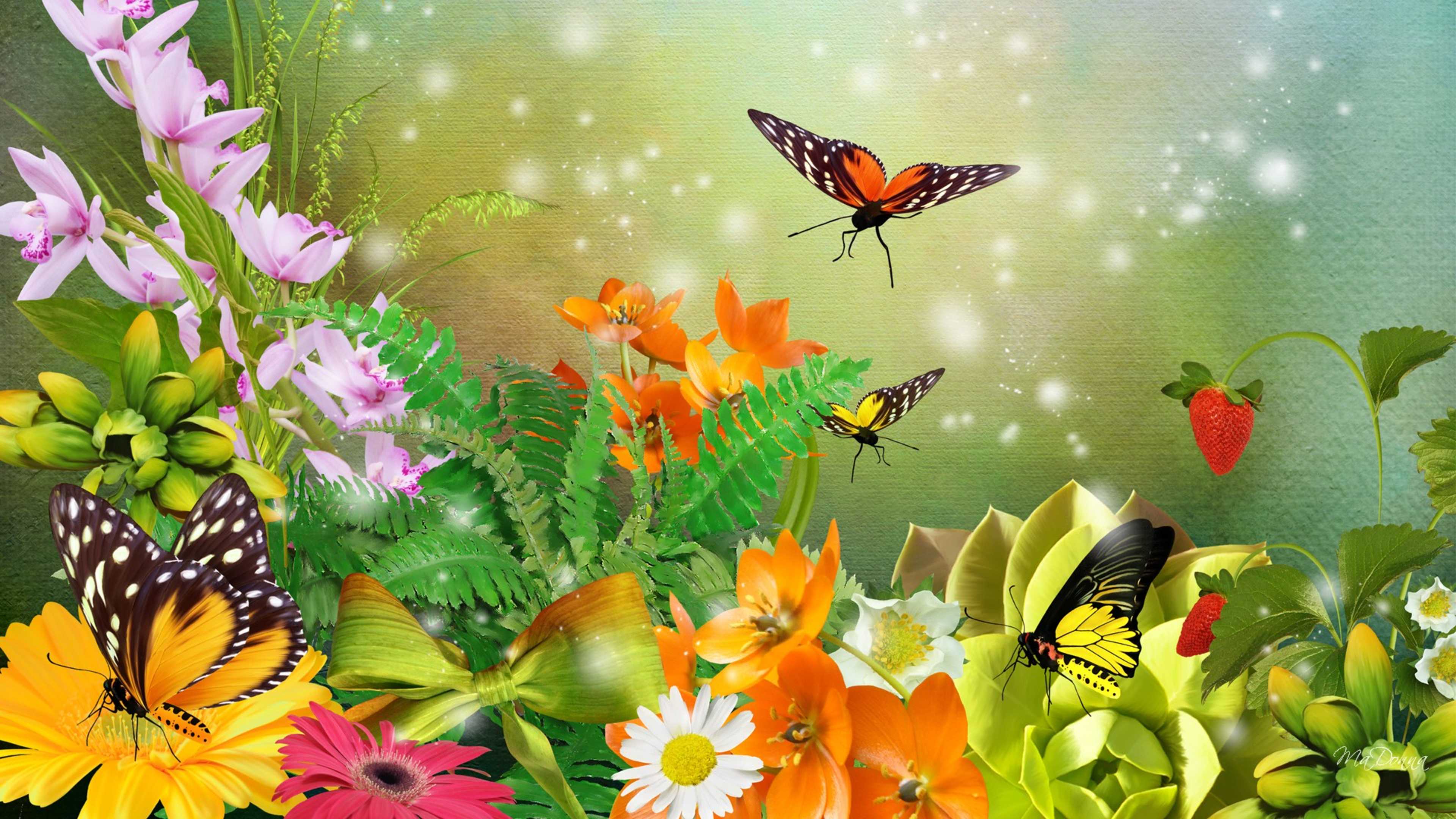 Download mobile wallpaper Flower, Butterfly, Colorful, Spring, Artistic for free.