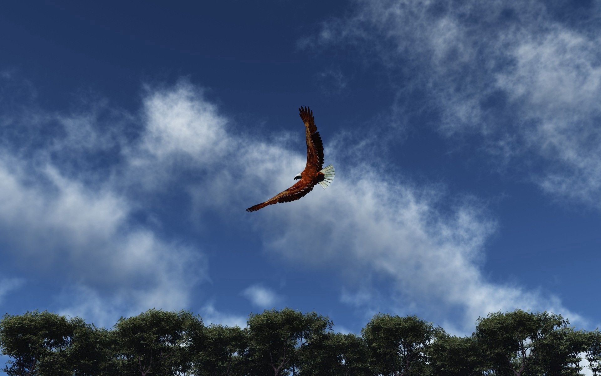 77574 скачать обои полет, орел, животные, небо, облака, крылья, взмах - заставки и картинки бесплатно