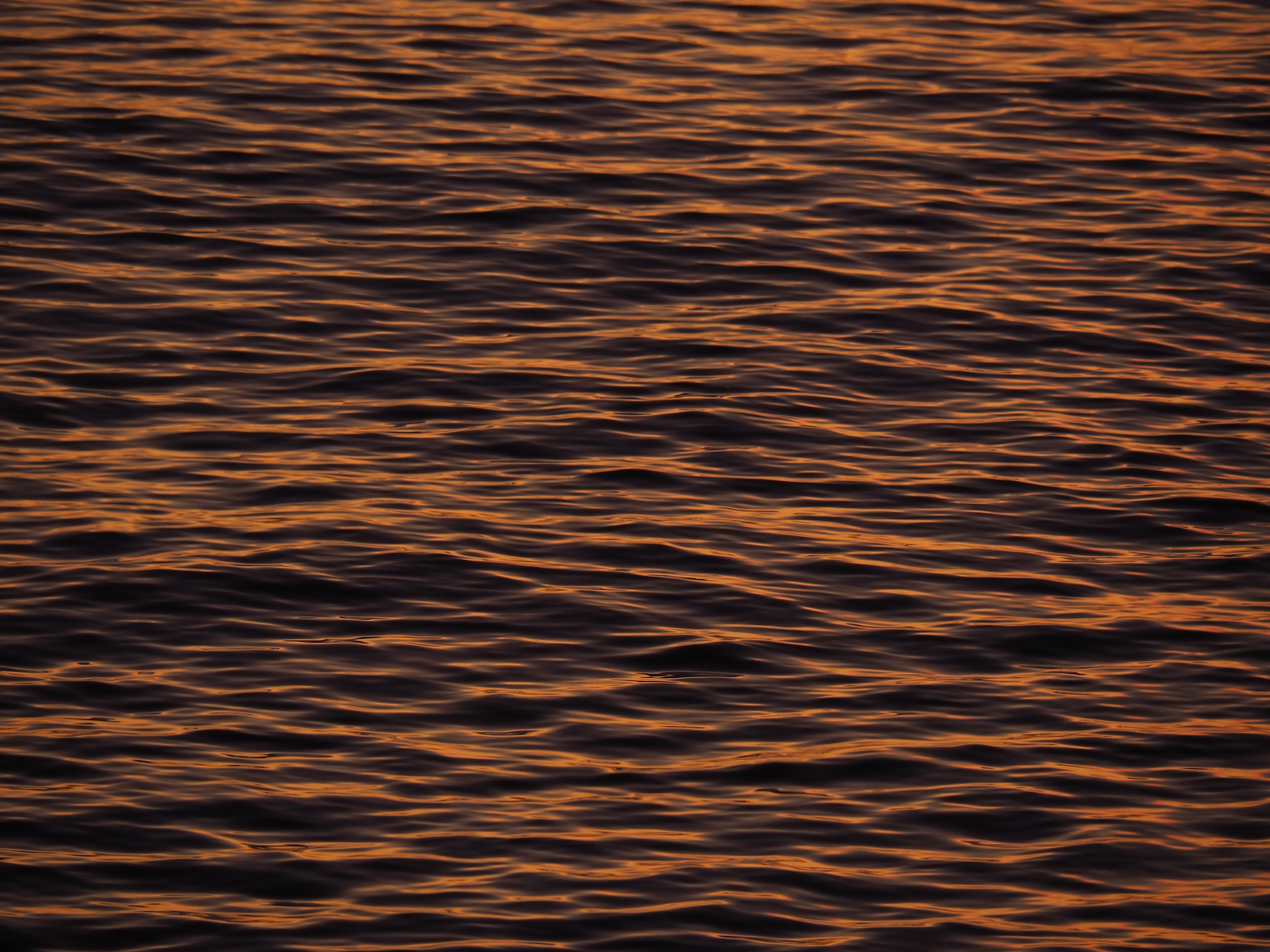 Download mobile wallpaper Ripples, Ripple, Waves, Water, Surface, Texture, Textures for free.