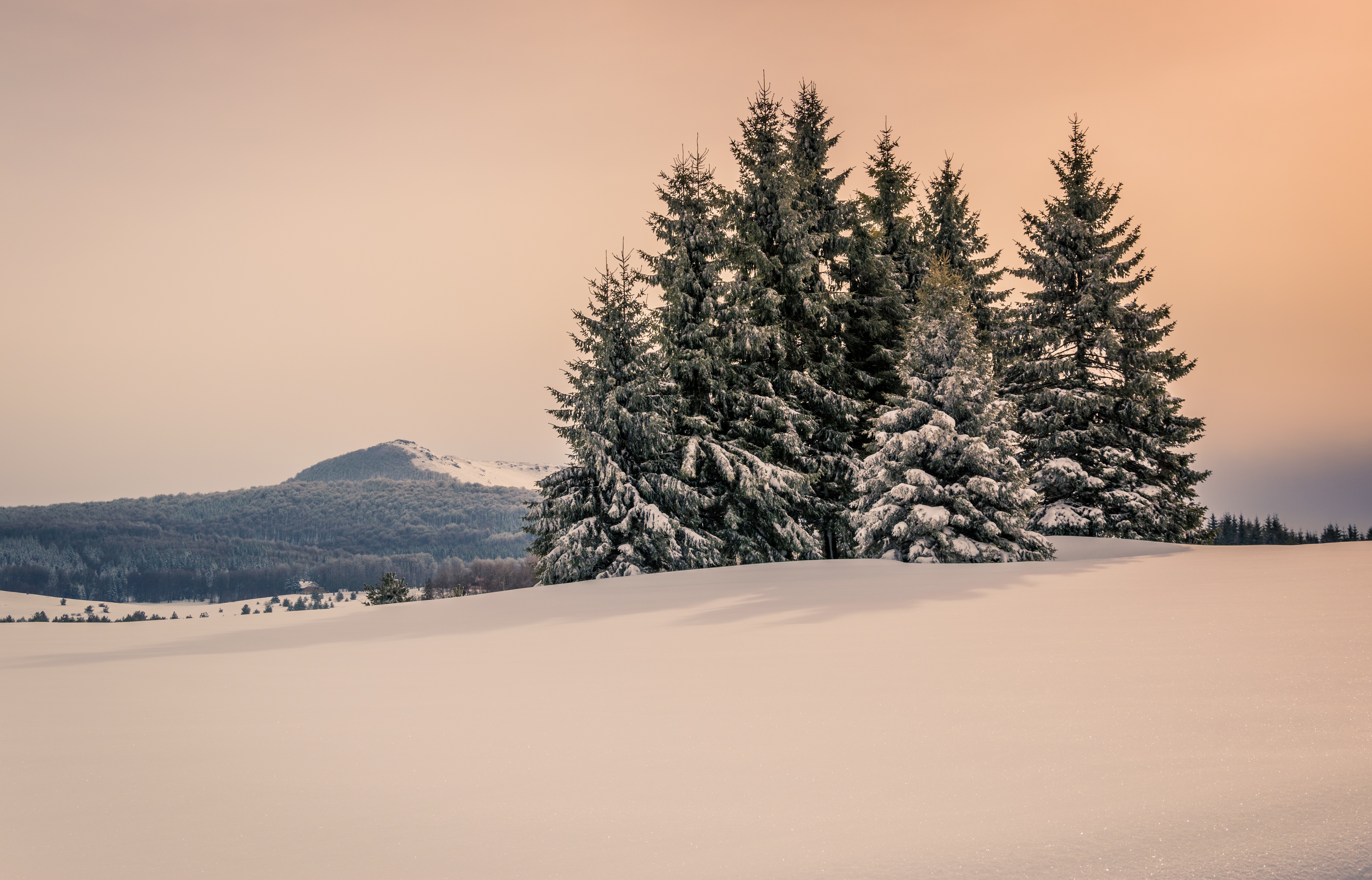 Download mobile wallpaper Winter, Sky, Snow, Mountain, Earth, Fir Tree for free.