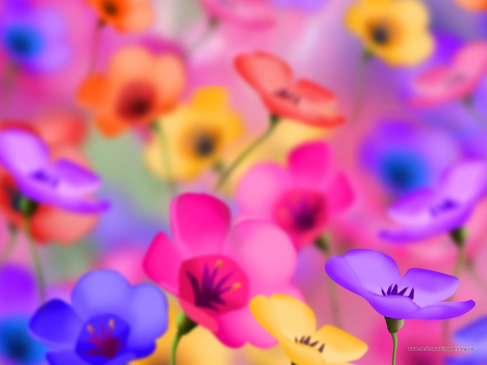 Handy-Wallpaper Blumen, Hintergrund kostenlos herunterladen.