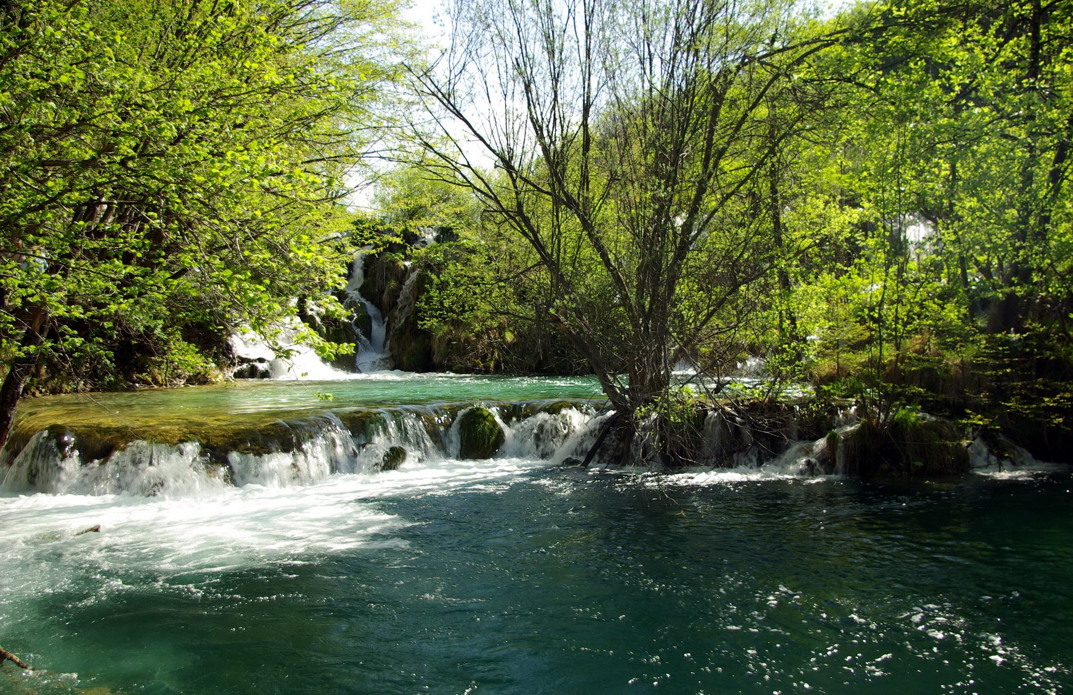 72382 завантажити картинку водоспад, природа, річка, дерева, літо, ясно, я бачу, хорватія - шпалери і заставки безкоштовно