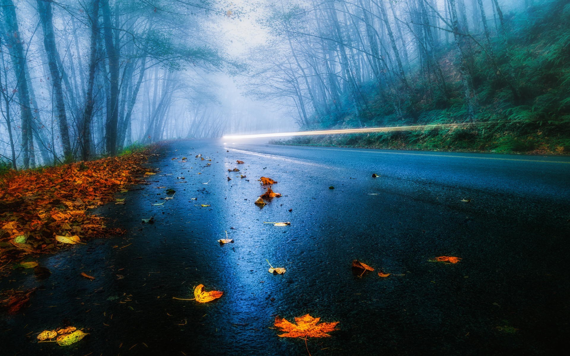 Free download wallpaper Road, Leaf, Fall, Man Made on your PC desktop