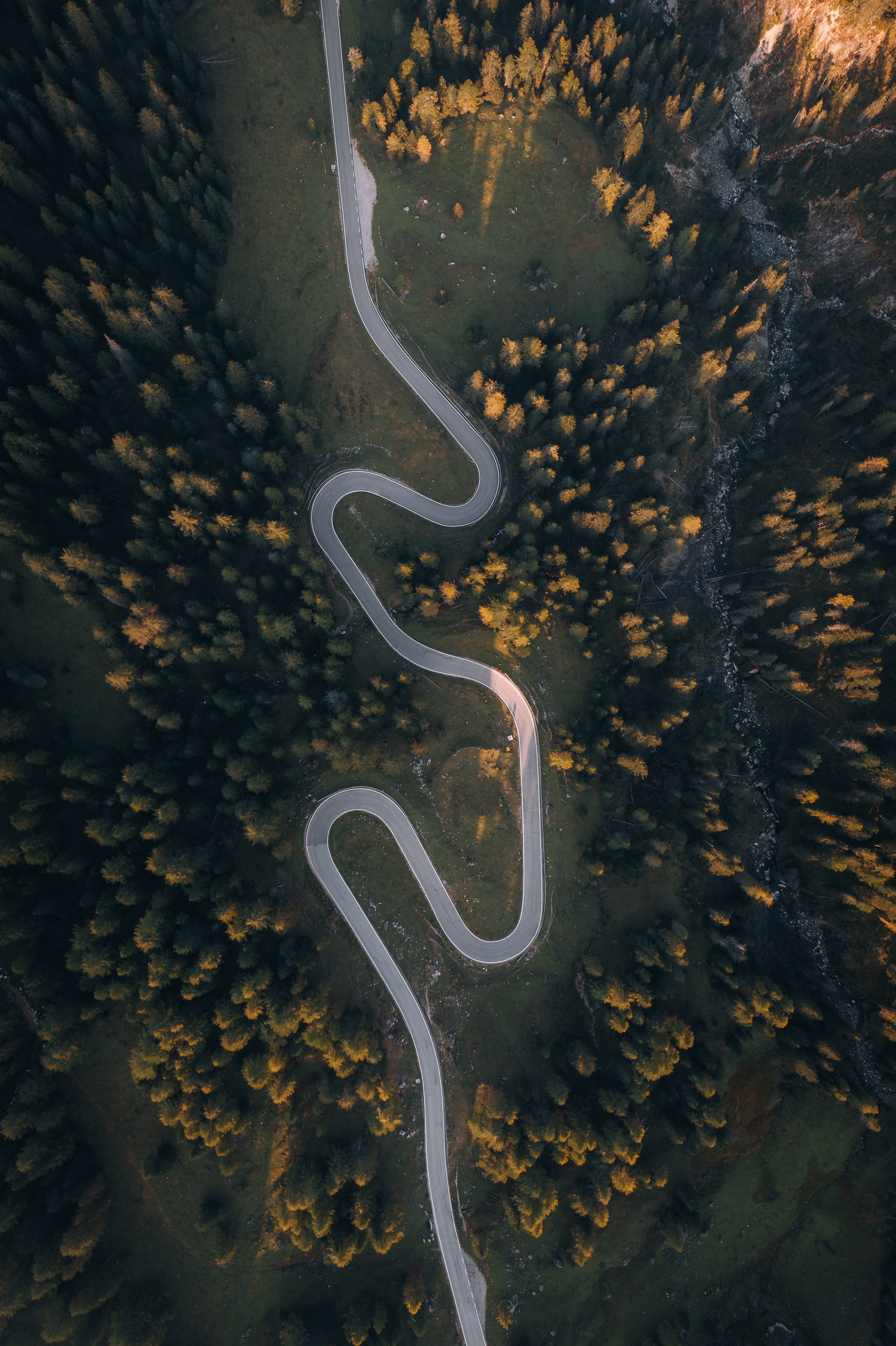 vertical wallpaper sinuous, nature, trees, view from above, road, hill, winding