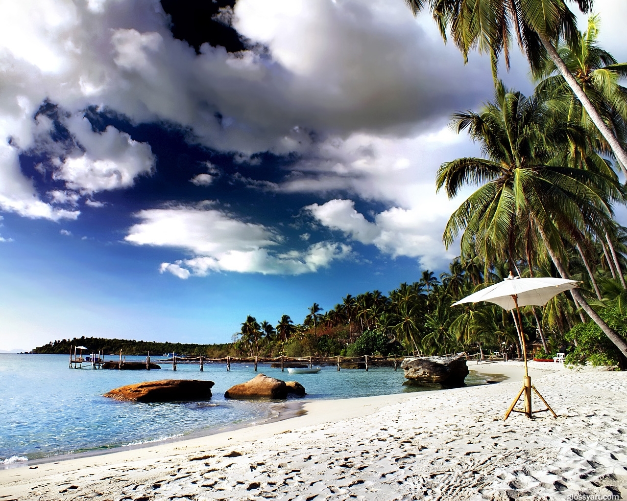 palms, landscape, water, stones, sky, sea, beach 4K