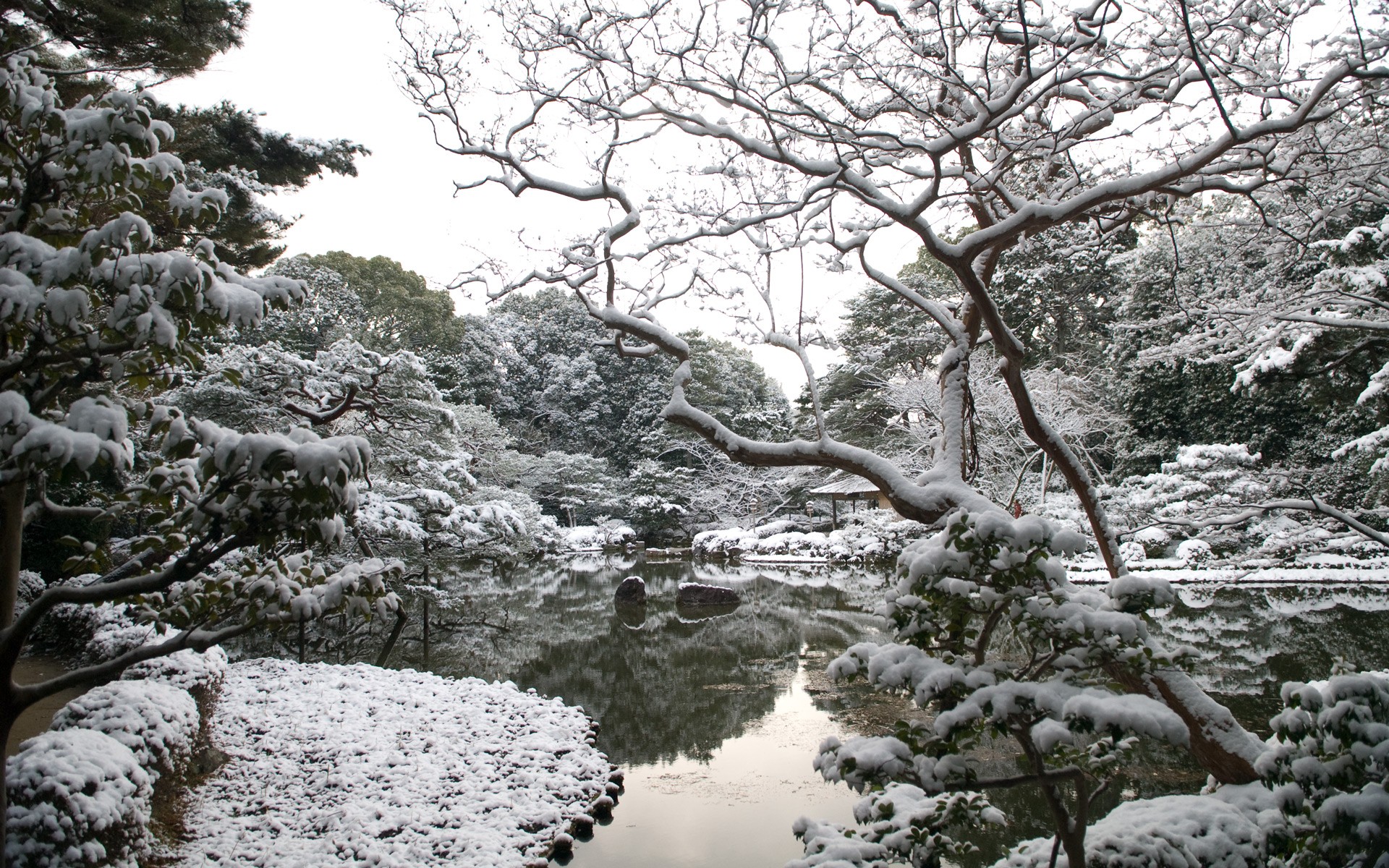 Laden Sie das Winter, Schnee, See, Baum, Fotografie-Bild kostenlos auf Ihren PC-Desktop herunter