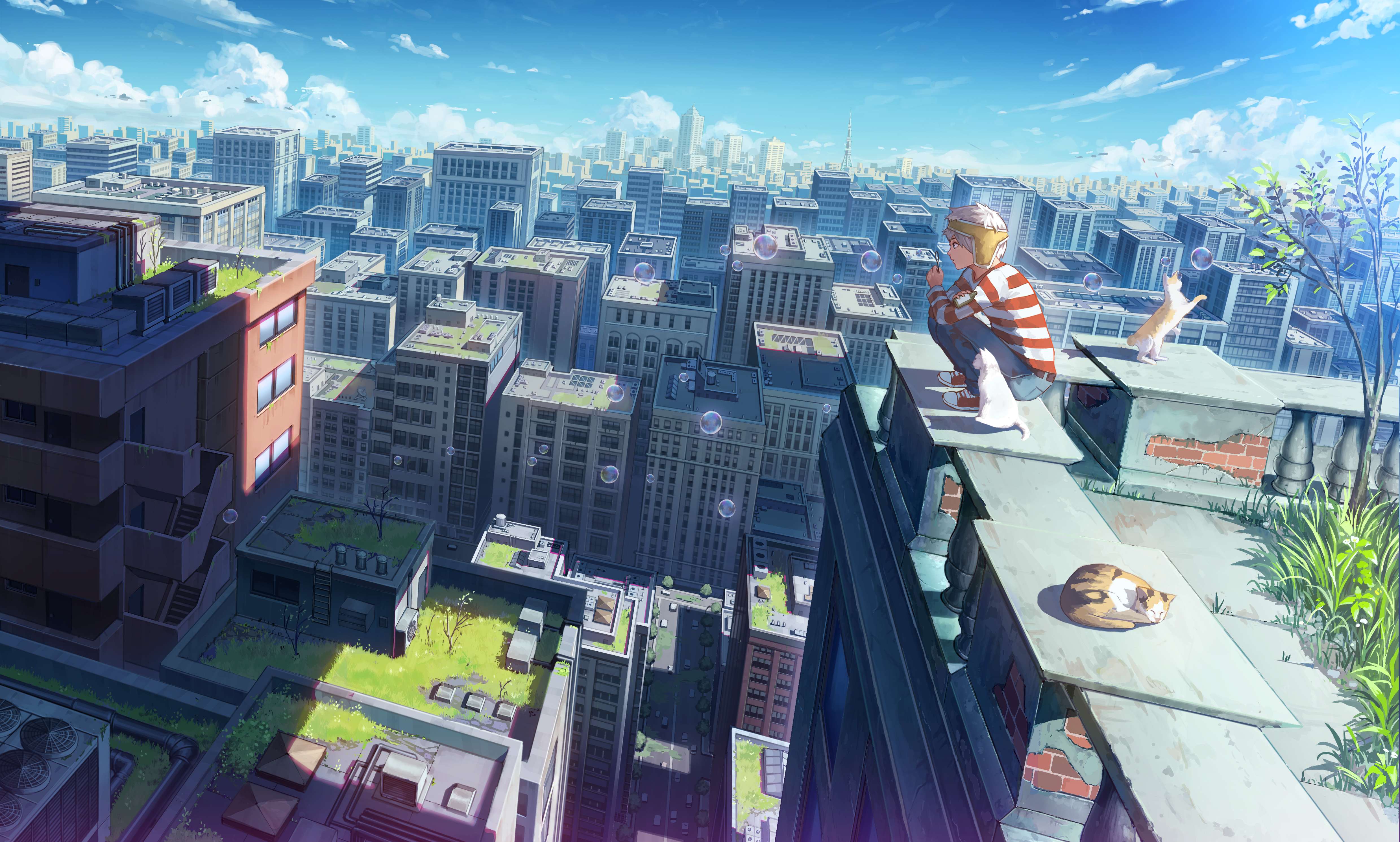 Free download wallpaper Anime, City, Cat, Bubble on your PC desktop