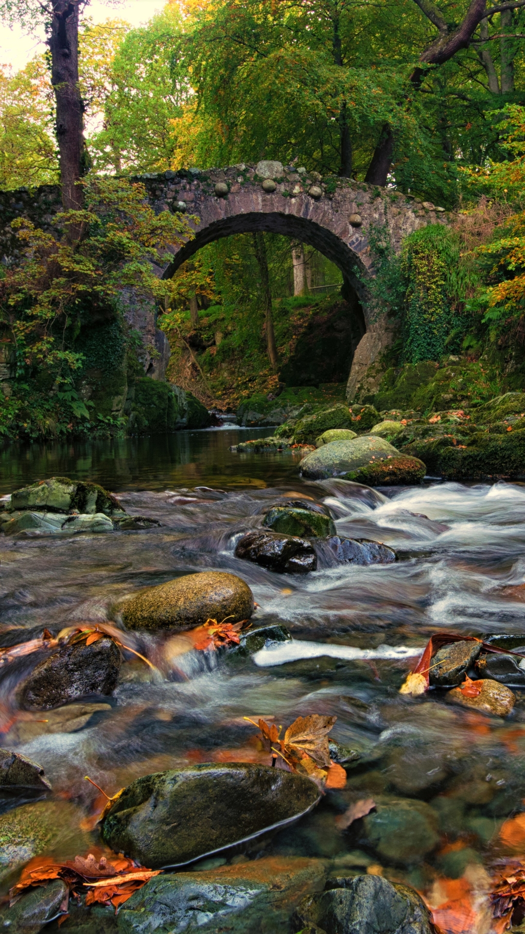 Скачать картинку Река, Осень, Лес, Мост, Падать, Земля/природа в телефон бесплатно.