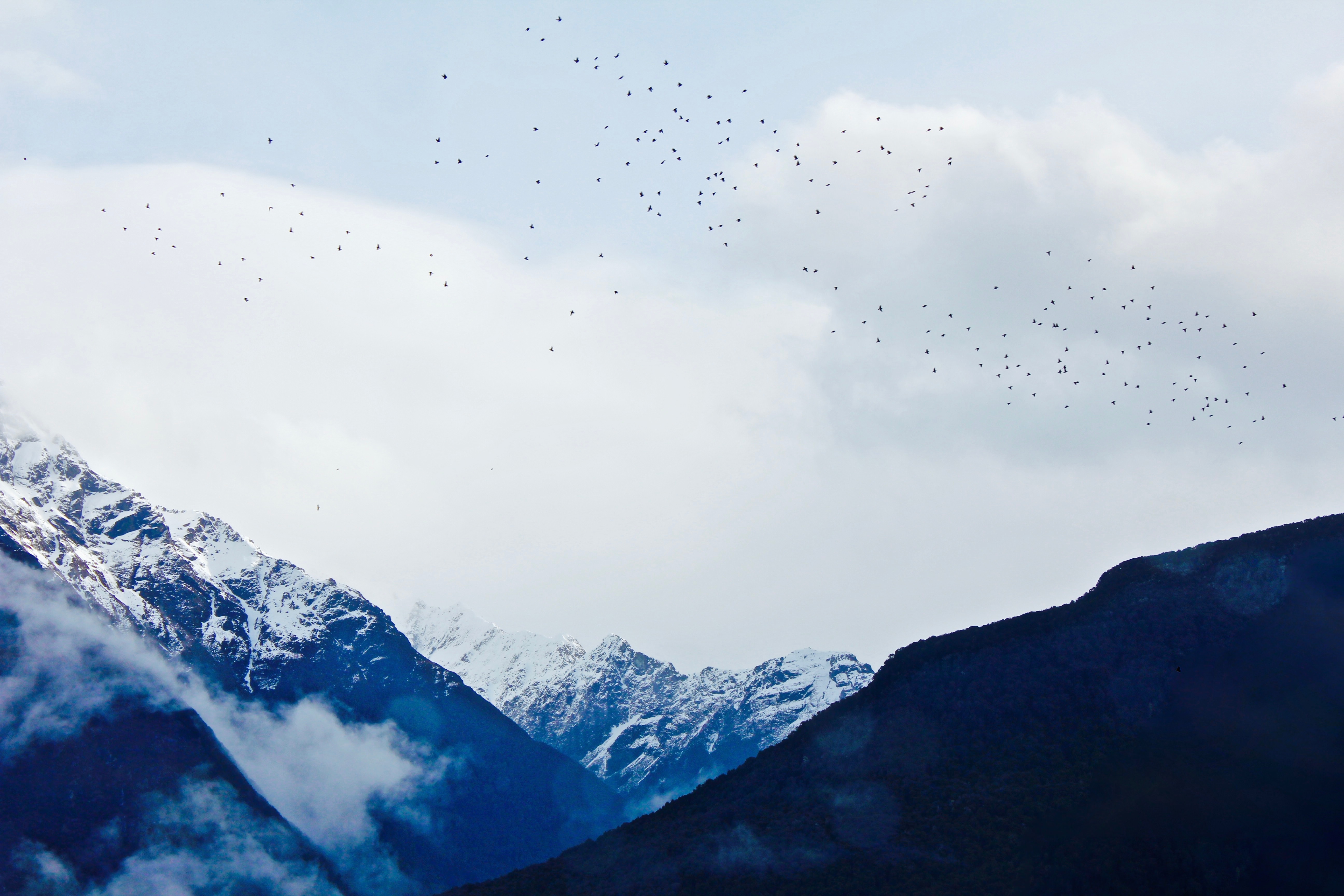 Laden Sie das Scheitel, Nach Oben, Sky, Natur, Vögel, Mountains-Bild kostenlos auf Ihren PC-Desktop herunter
