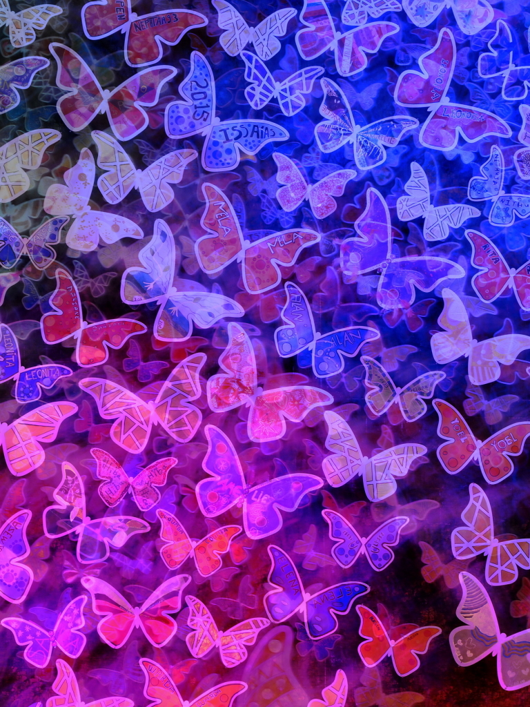 無料モバイル壁紙動物, 蝶, 色をダウンロードします。