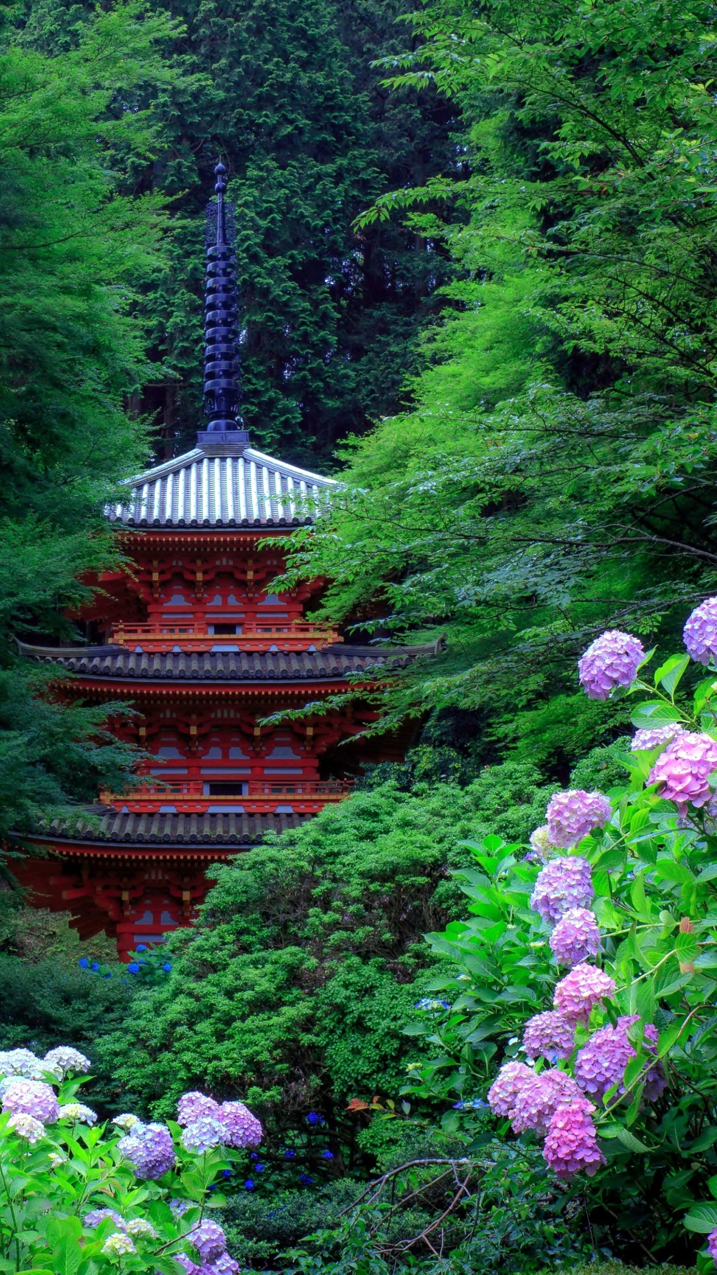 Скачати мобільні шпалери Пагода, Сад, Японія, Гортензія, Фіолетова Квітка, Створено Людиною безкоштовно.