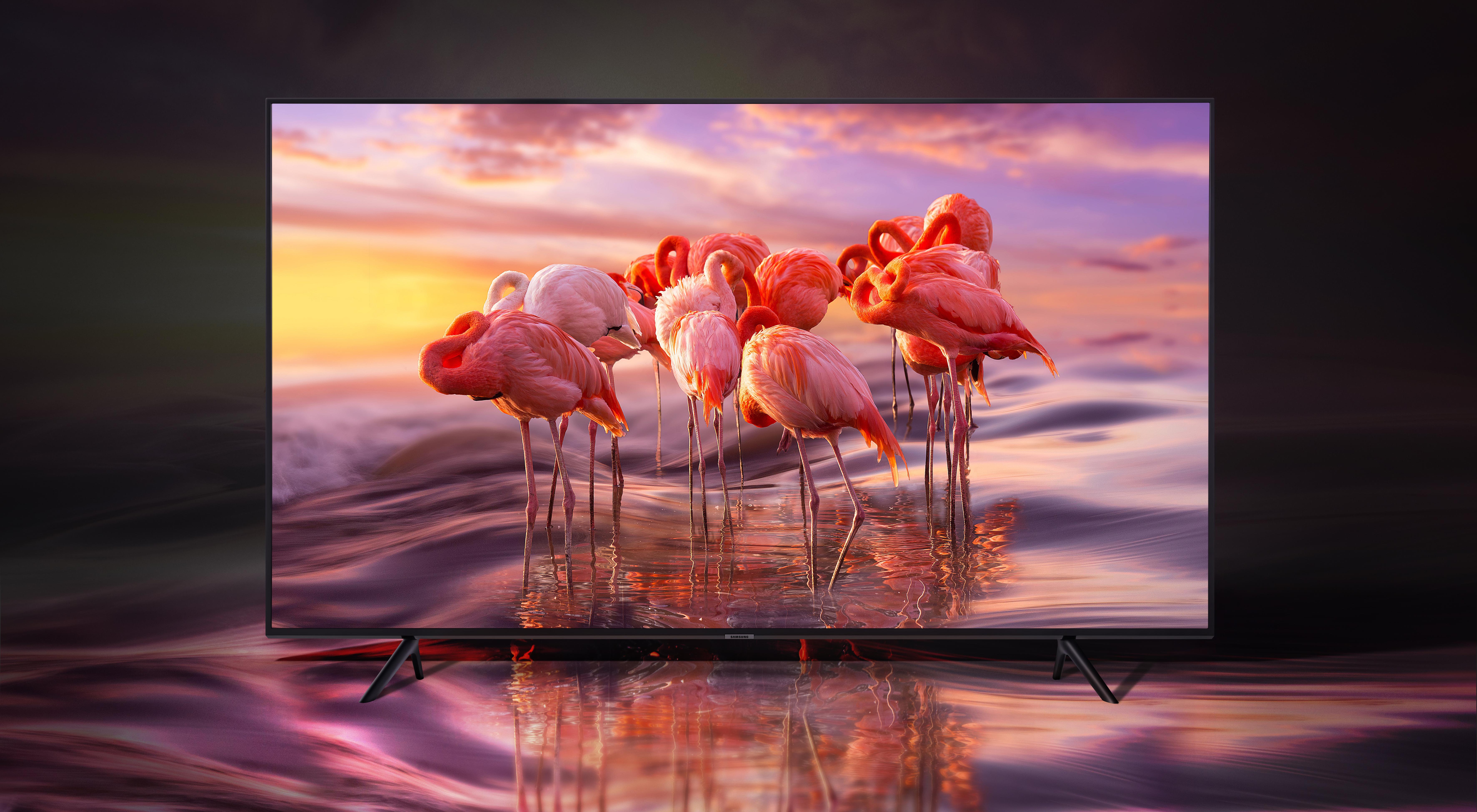 985938 Hintergrundbild herunterladen menschengemacht, fernsehen, flamingo, samsung - Bildschirmschoner und Bilder kostenlos