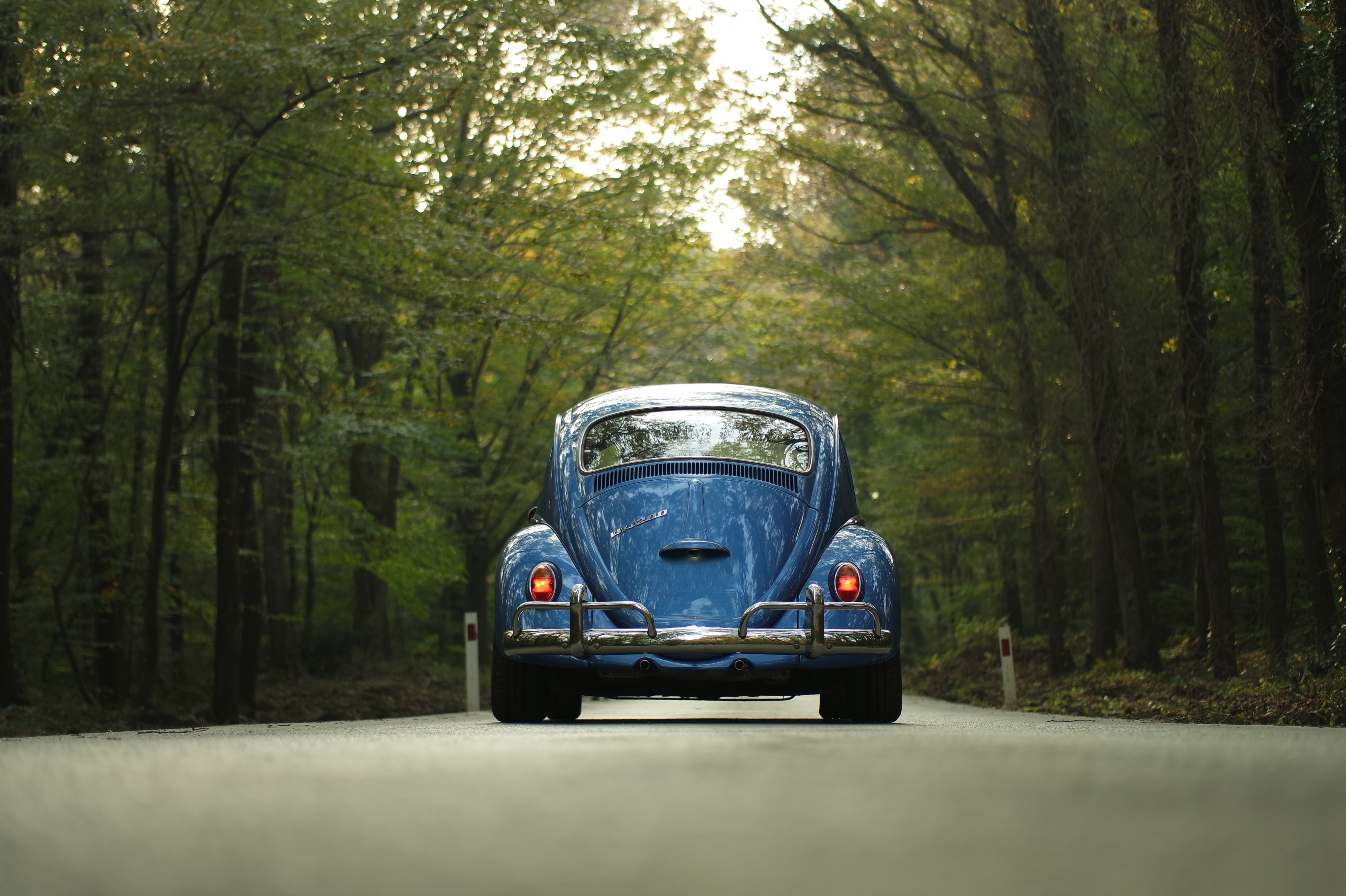 Download mobile wallpaper Volkswagen, Road, Car, Volkswagen Beetle, Vehicles for free.