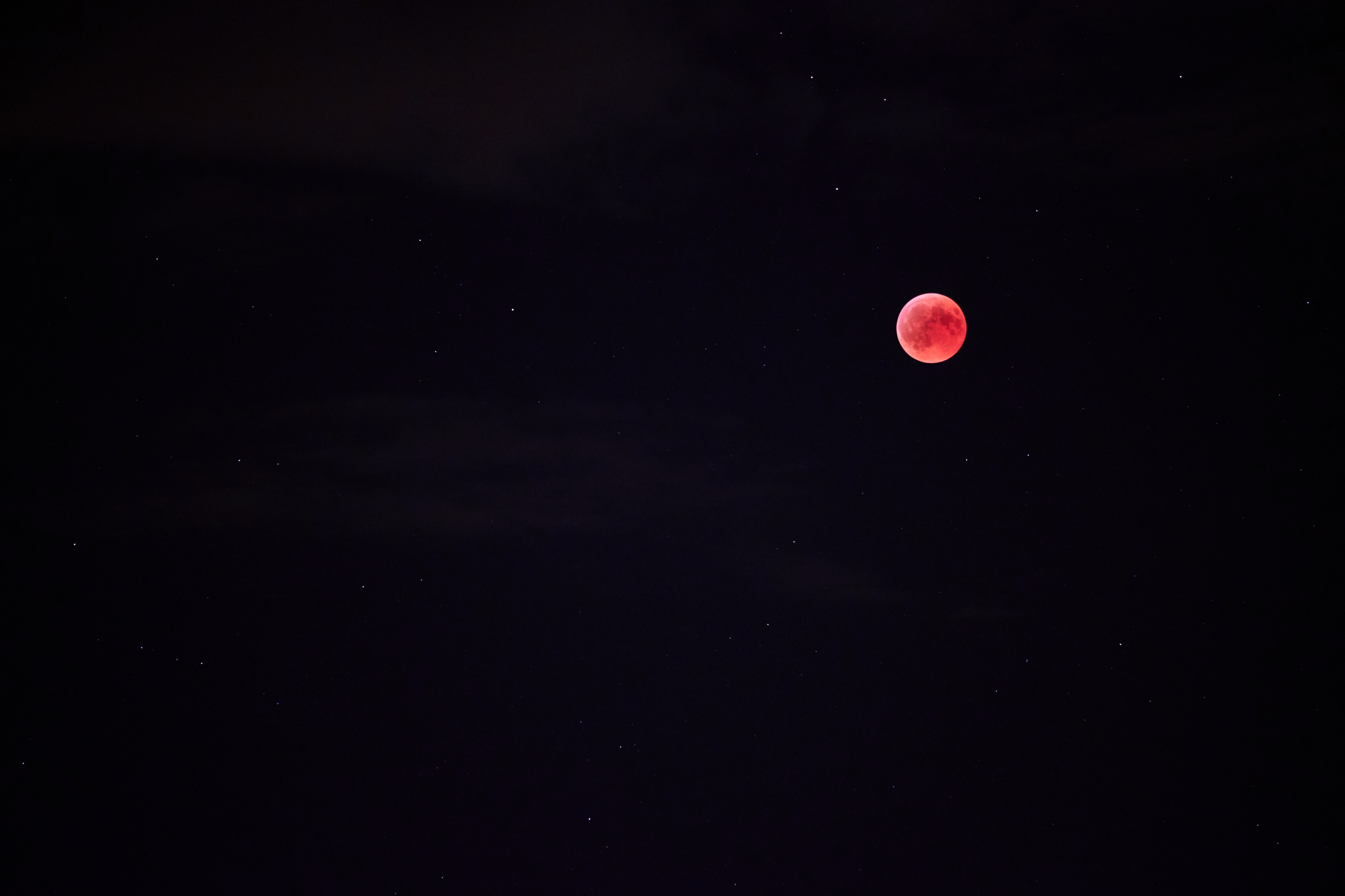 sky, night, moon, black, starry sky, full moon, red moon