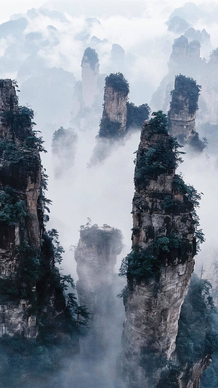 Download mobile wallpaper Landscape, Tree, Fog, Earth, Cliff, National Park, China, Zhangjiajie National Forest Park, Zhangjiajie National Park for free.