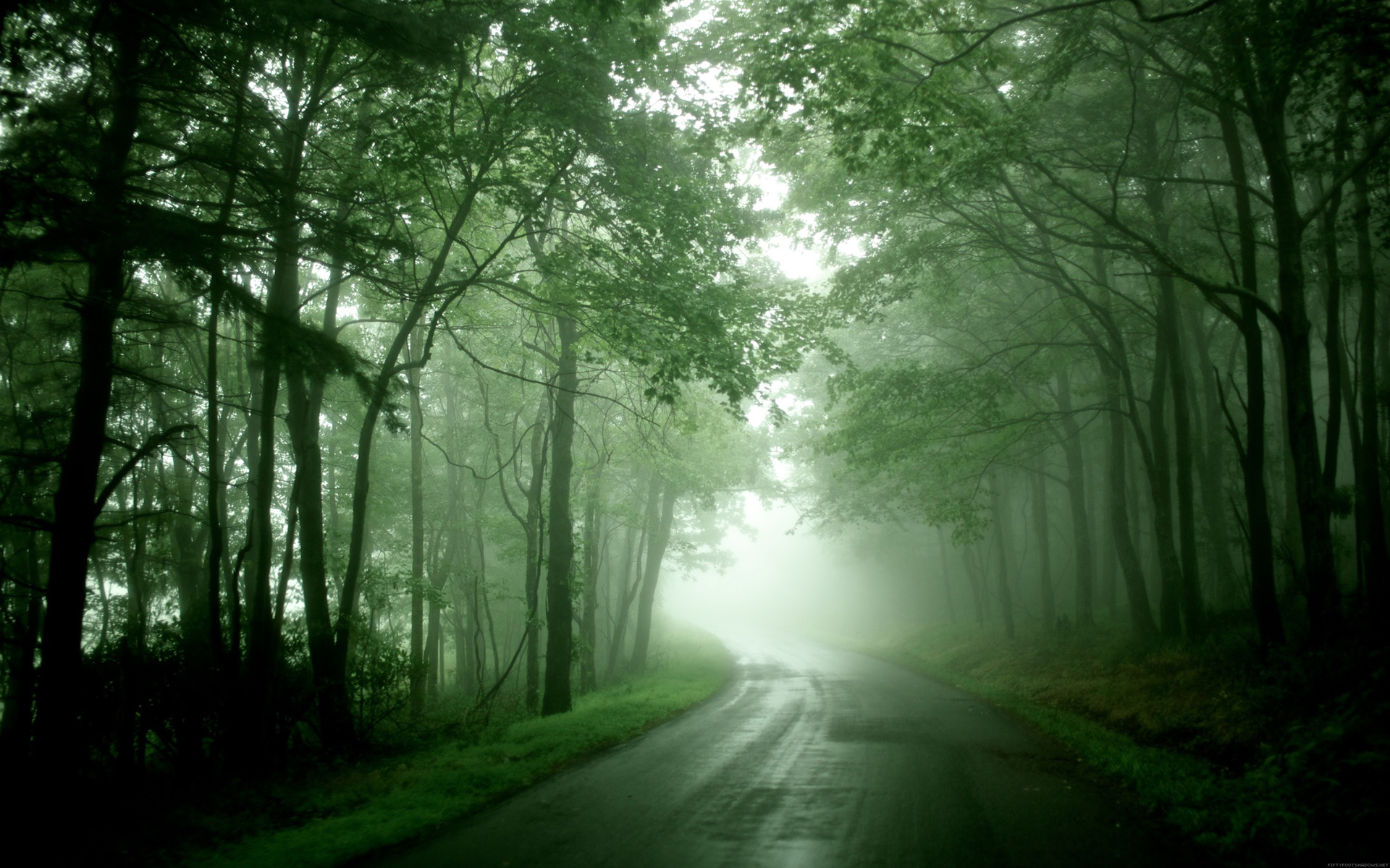 Laden Sie das Straße, Nebel, Menschengemacht-Bild kostenlos auf Ihren PC-Desktop herunter