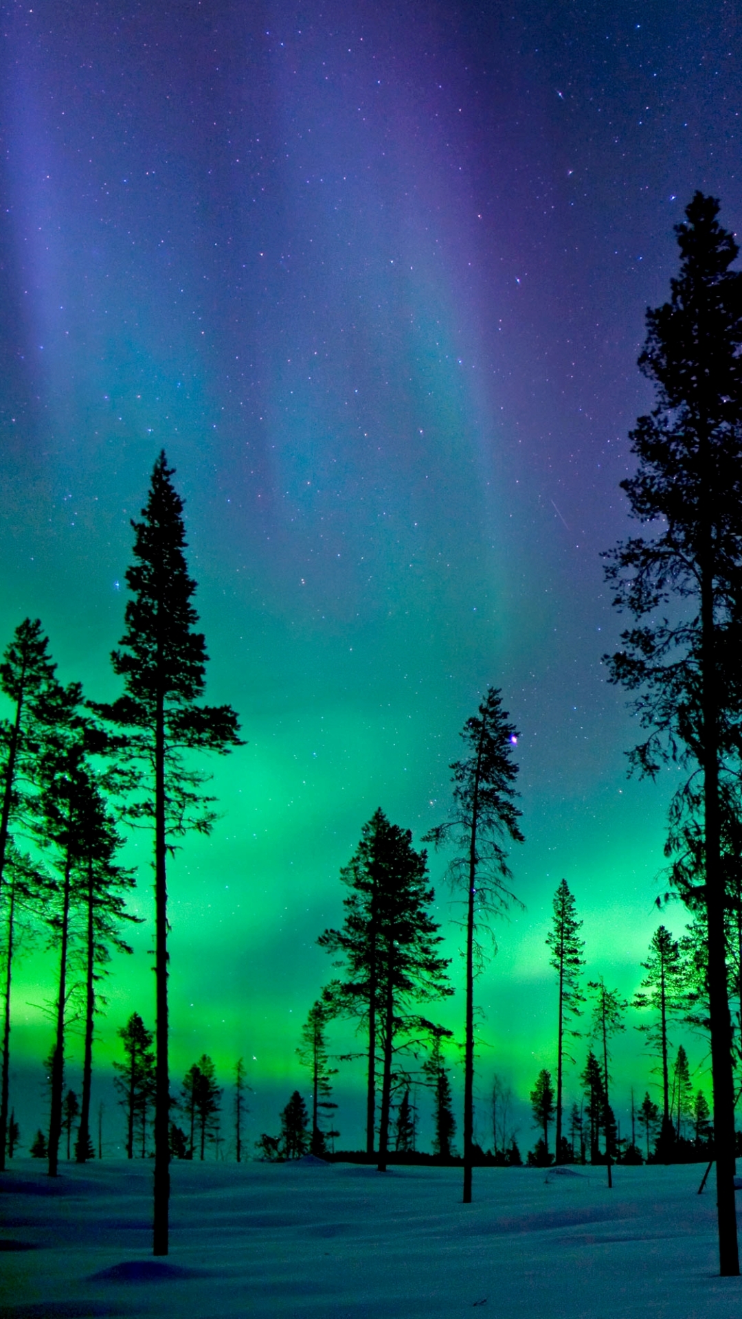 Download mobile wallpaper Winter, Sky, Snow, Forest, Tree, Earth, Aurora Borealis for free.
