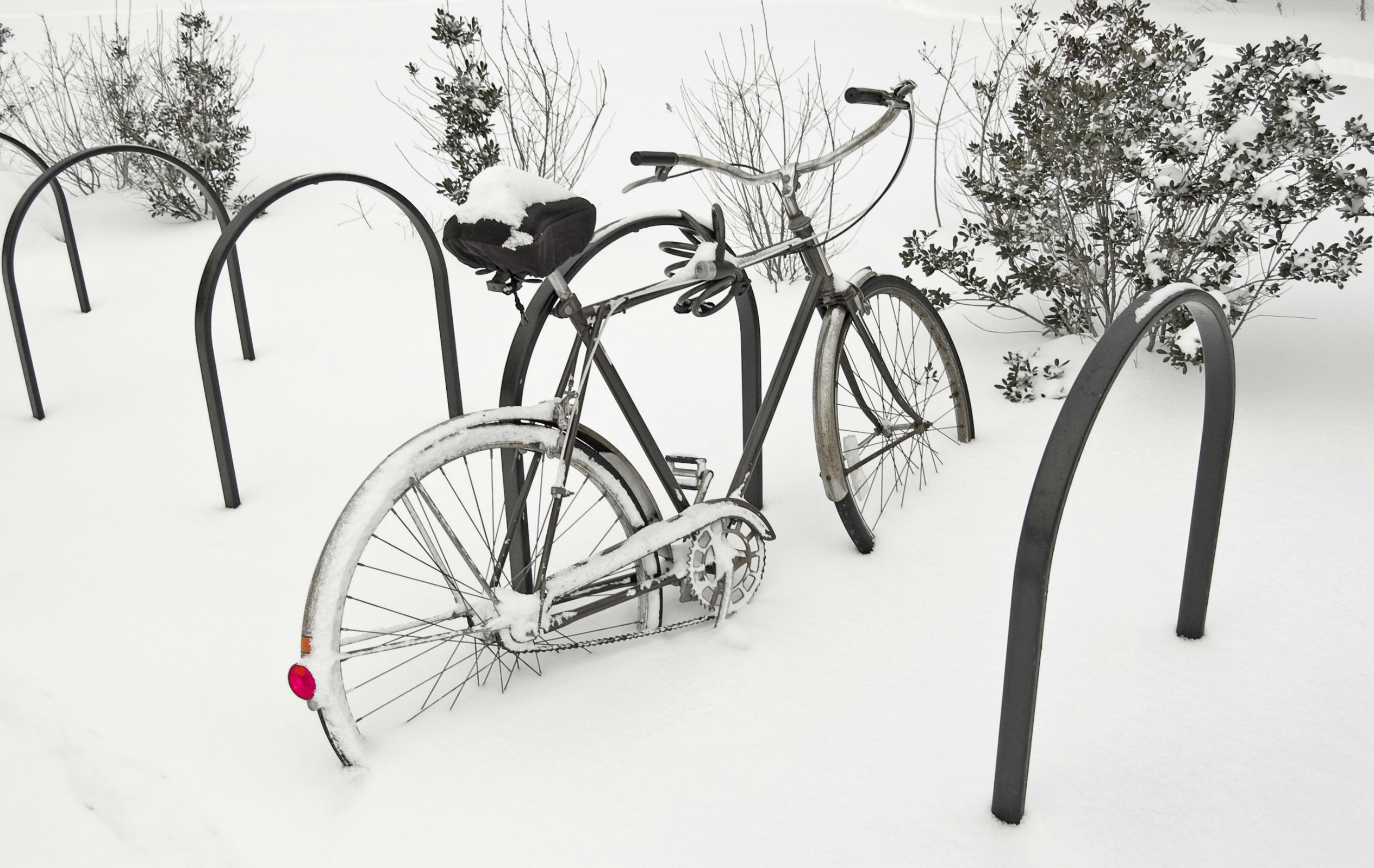 無料モバイル壁紙自転車, 乗り物をダウンロードします。