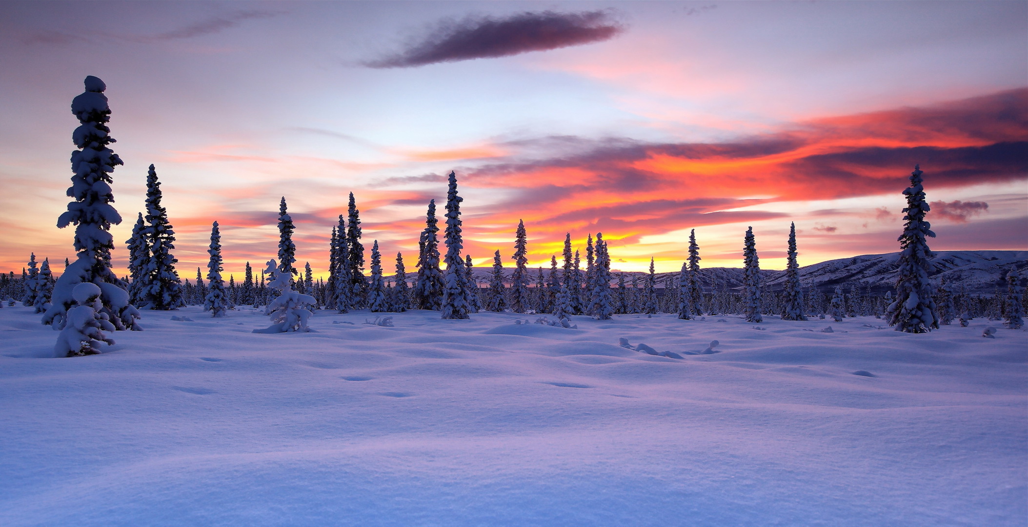 PCデスクトップに風景, 冬, 木, 日没, 雪, 地球, 空, クラウド画像を無料でダウンロード