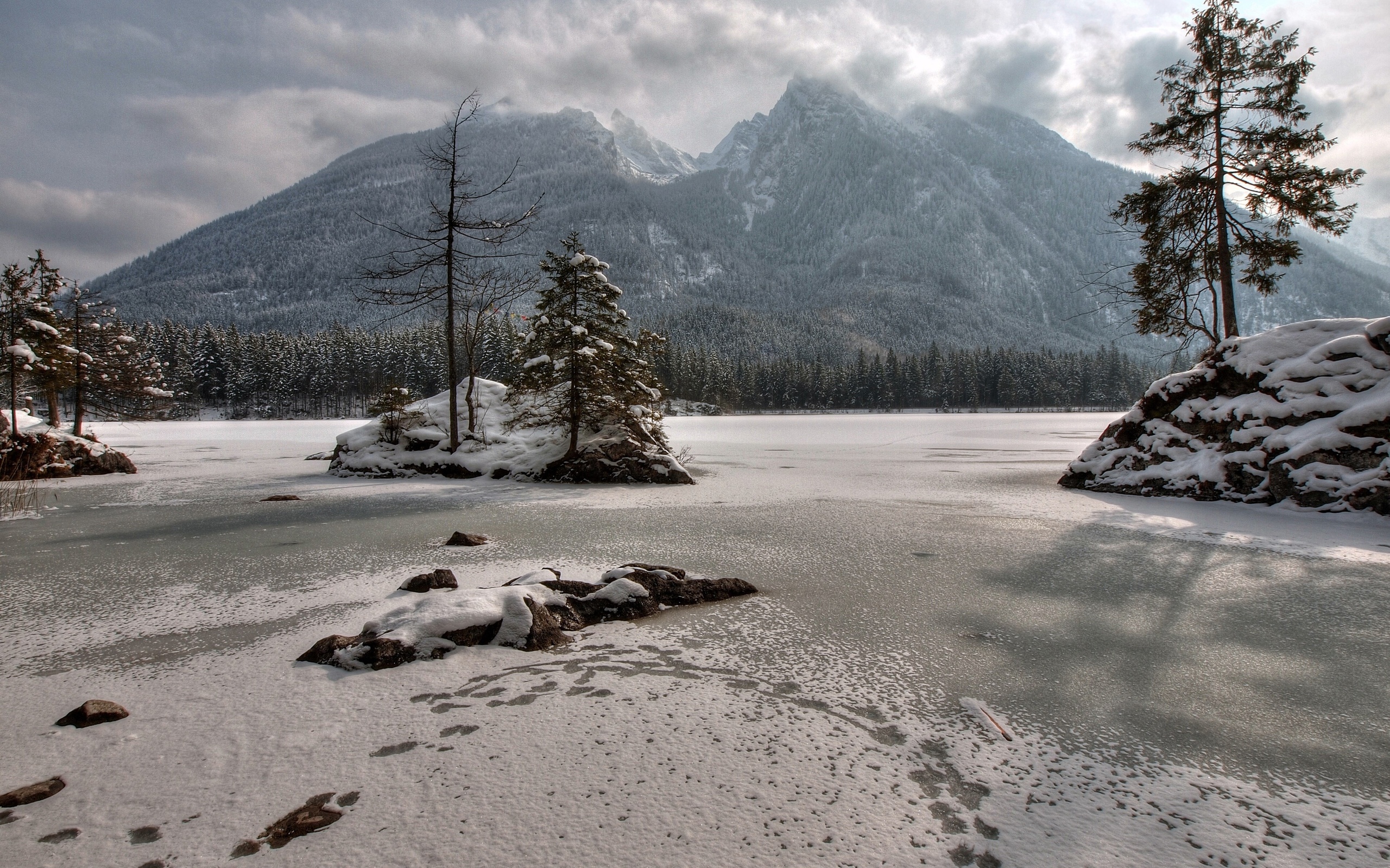 Handy-Wallpaper Winter, Schnee, Baum, Gebirge, Erde/natur kostenlos herunterladen.