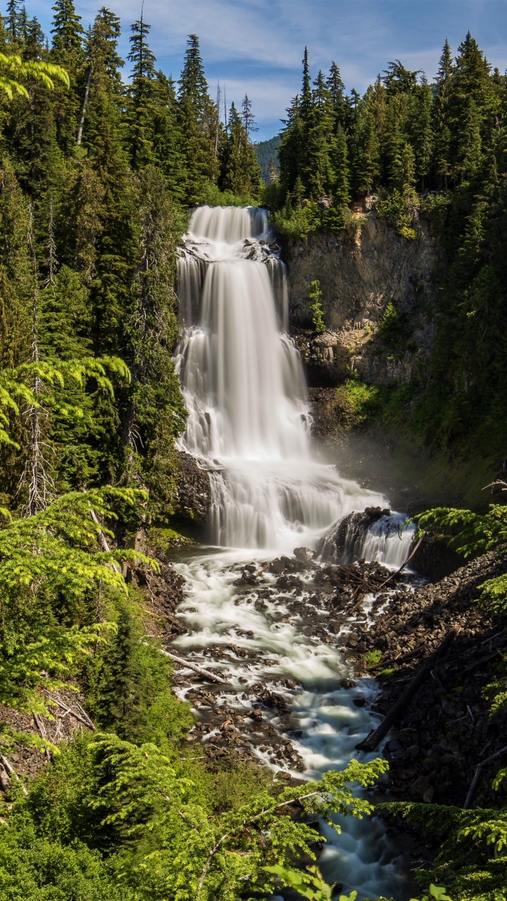 Handy-Wallpaper Wasserfälle, Wasserfall, Wald, Erde, Erde/natur kostenlos herunterladen.