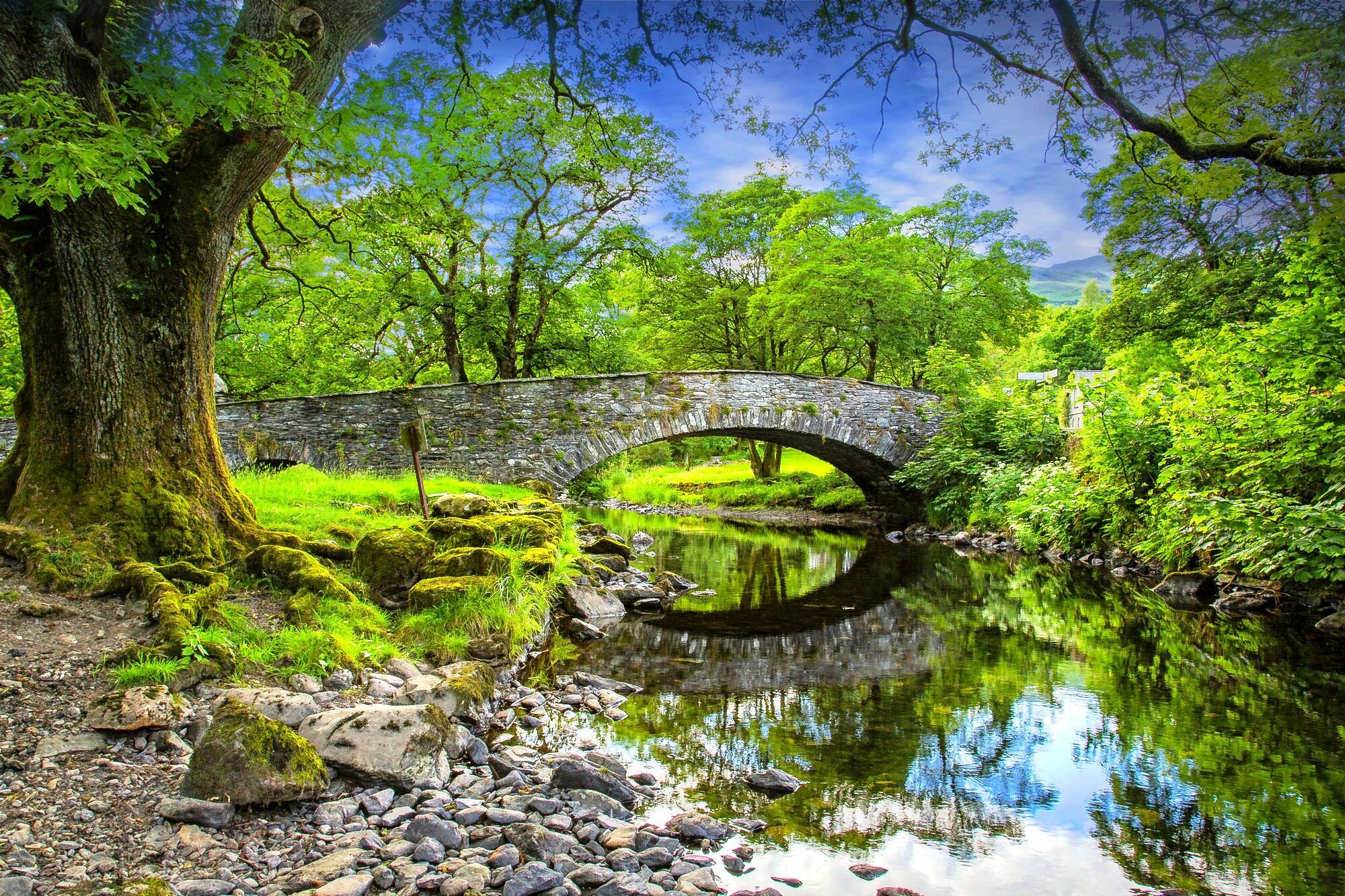 Descarga gratuita de fondo de pantalla para móvil de Puentes, Puente, Hecho Por El Hombre, Reflejo, Verdor.