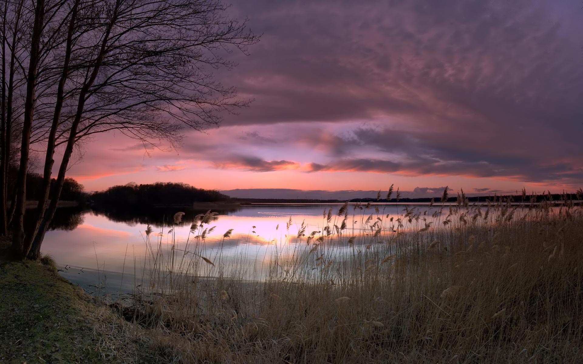 Free download wallpaper Water, Sunset, Sky, Lakes, Lake, Tree, Earth, Cloud on your PC desktop
