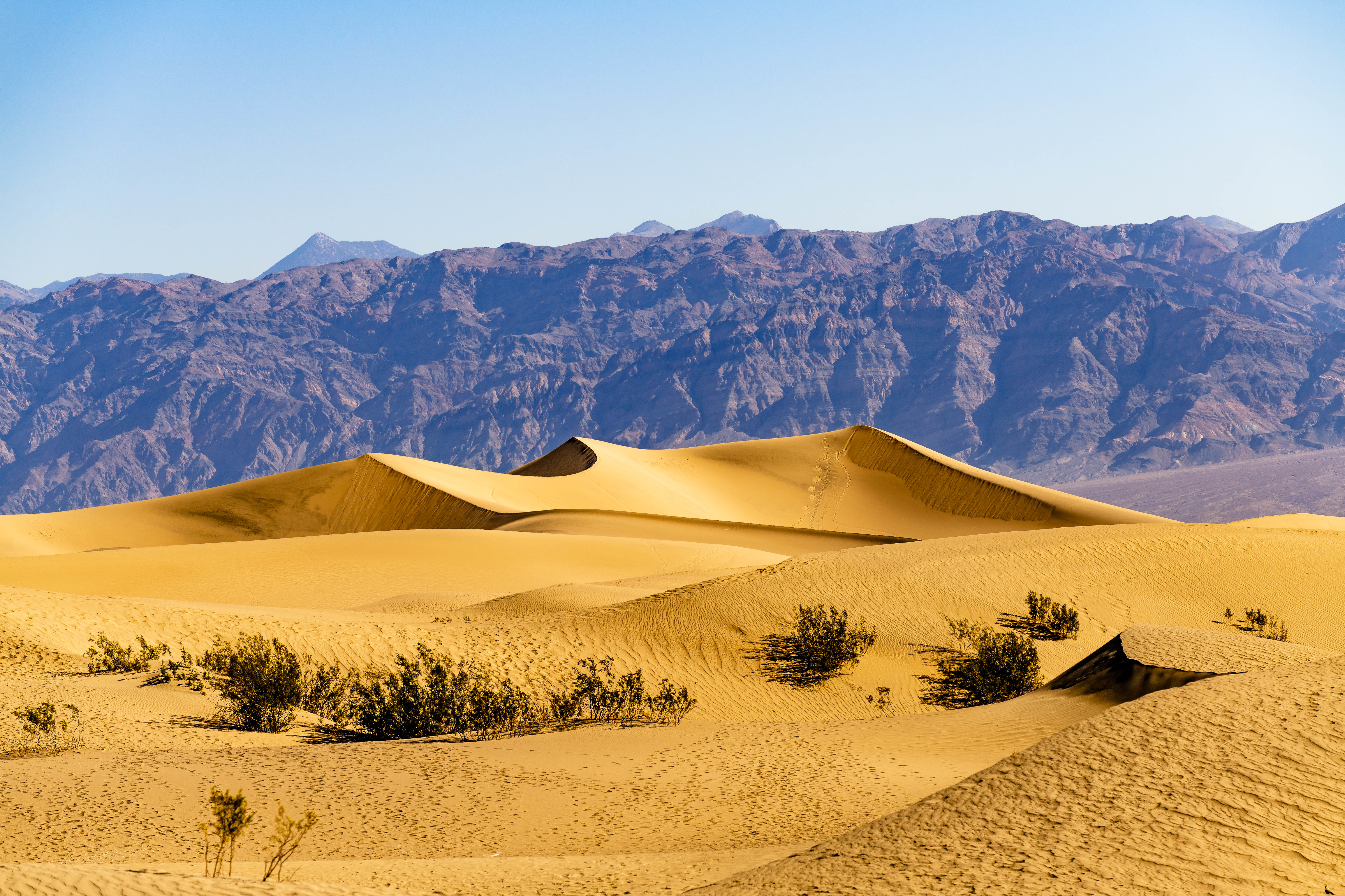 desert, mountains, links, nature, sand, bush, dunes
