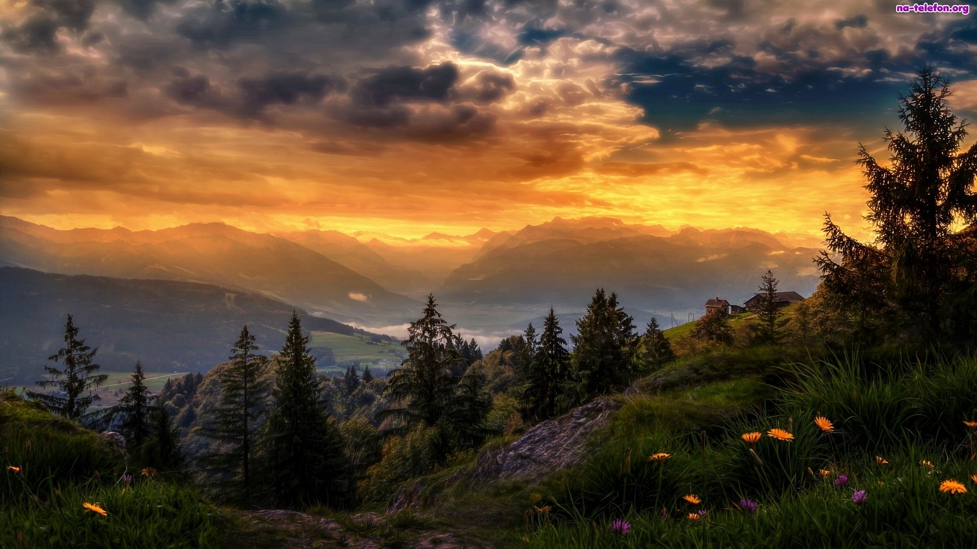 Download mobile wallpaper Landscape, Sunset, Mountain, Flower, Tree, Photography for free.