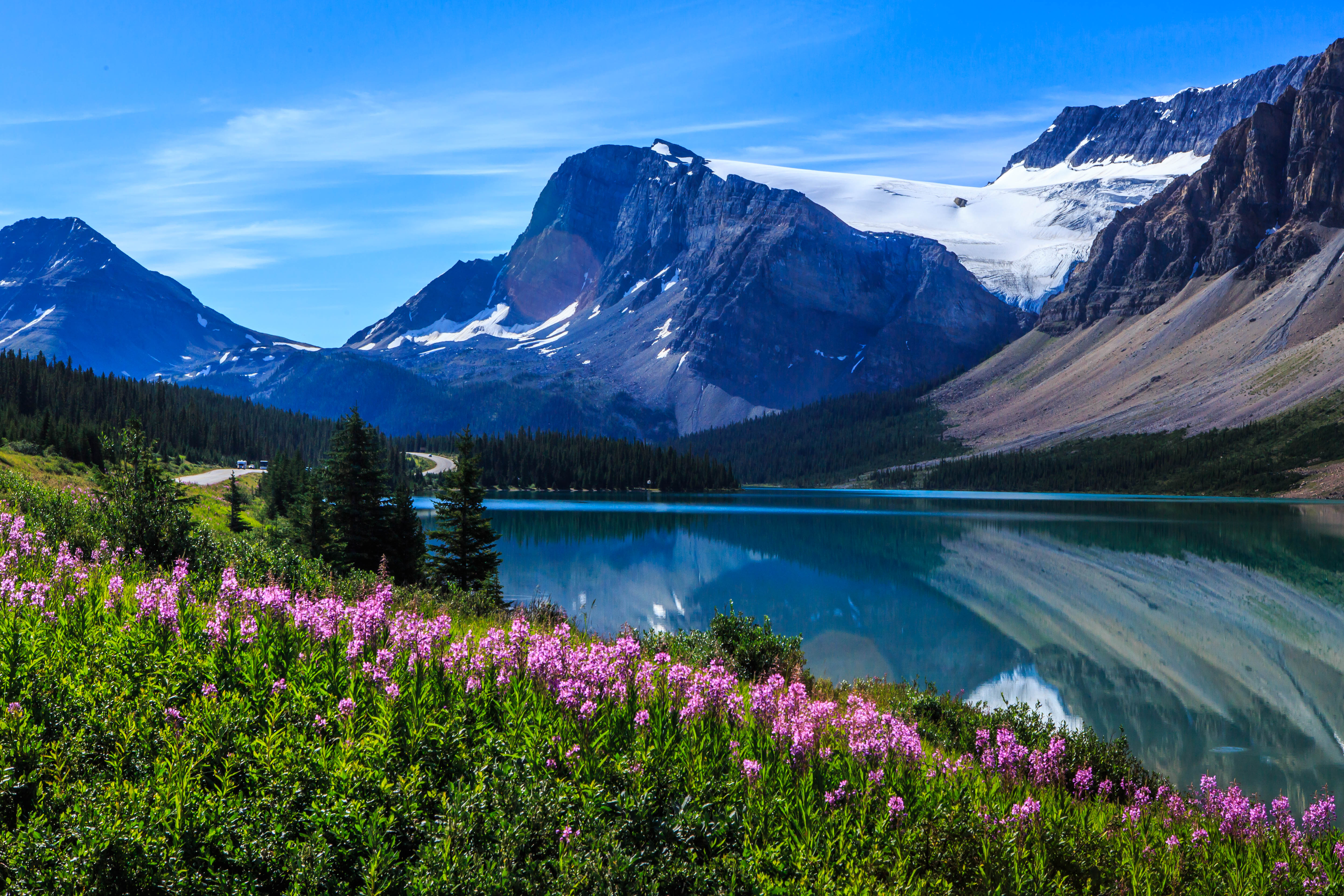 Laden Sie das Natur, Bäume, Blumen, See, Mountains, Landschaft-Bild kostenlos auf Ihren PC-Desktop herunter