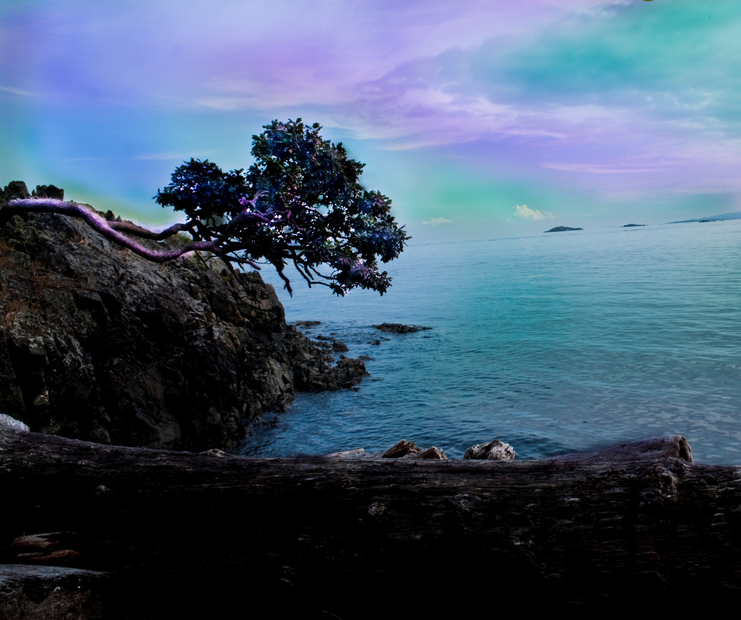 Download mobile wallpaper Sea, Coast, Tree, Ocean, Earth, Coastline for free.